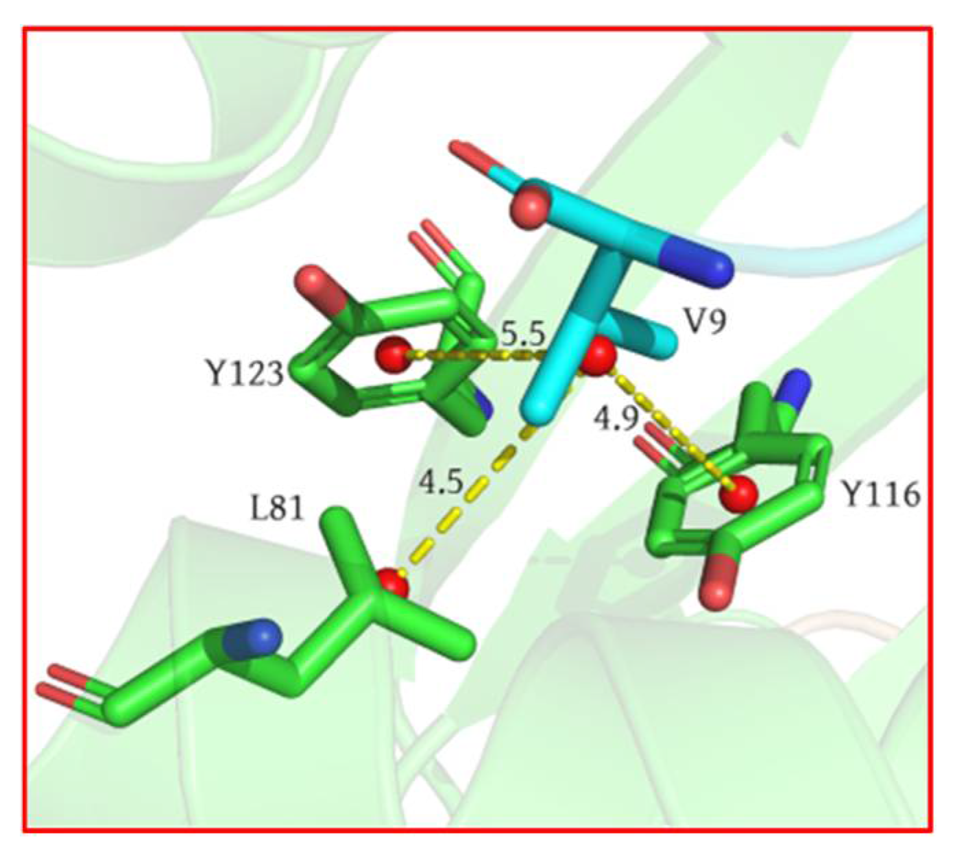 Molecules 29 00881 g004 Molecules 29 00881 g004