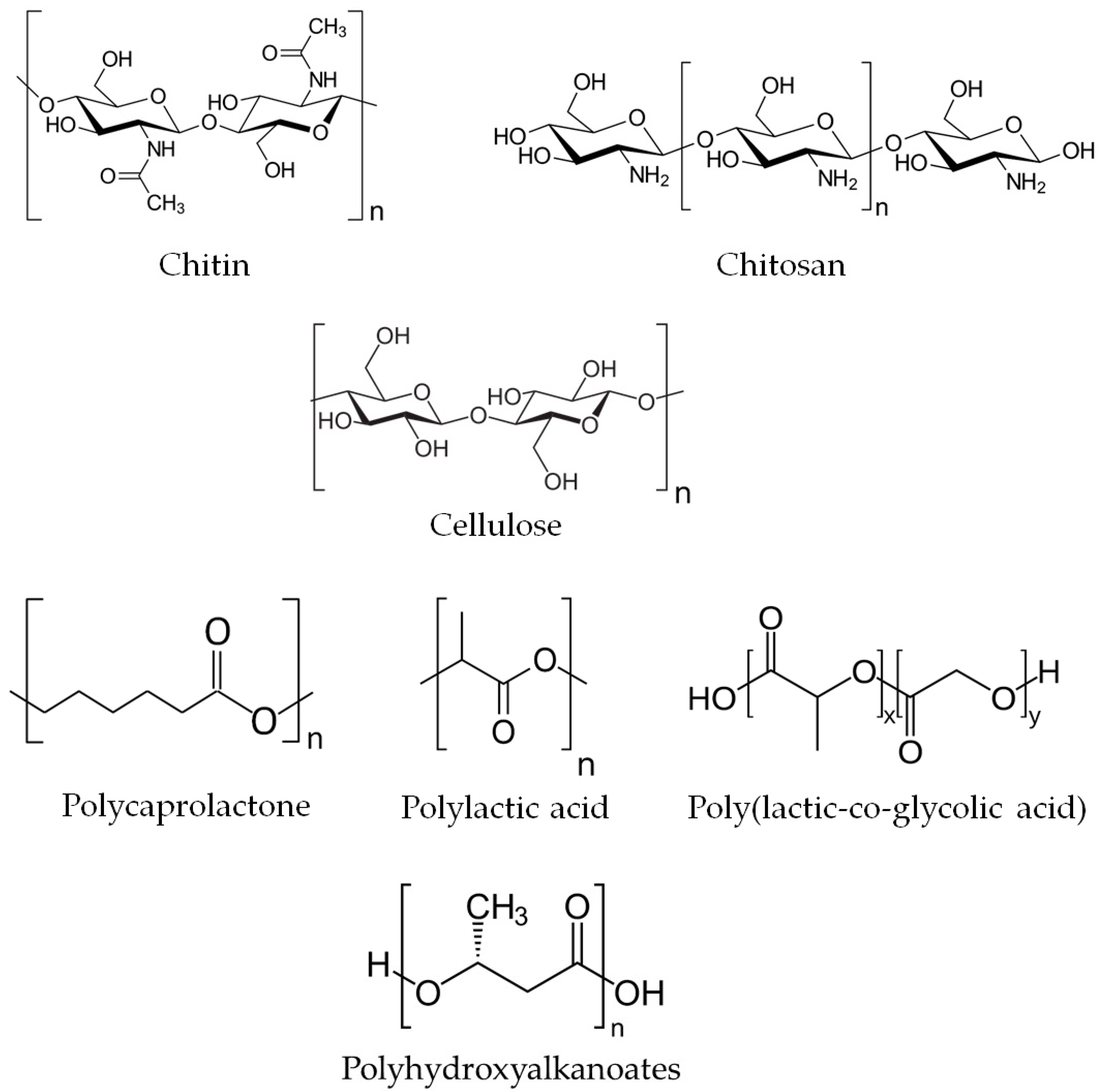 Molecules 29 00883 g002