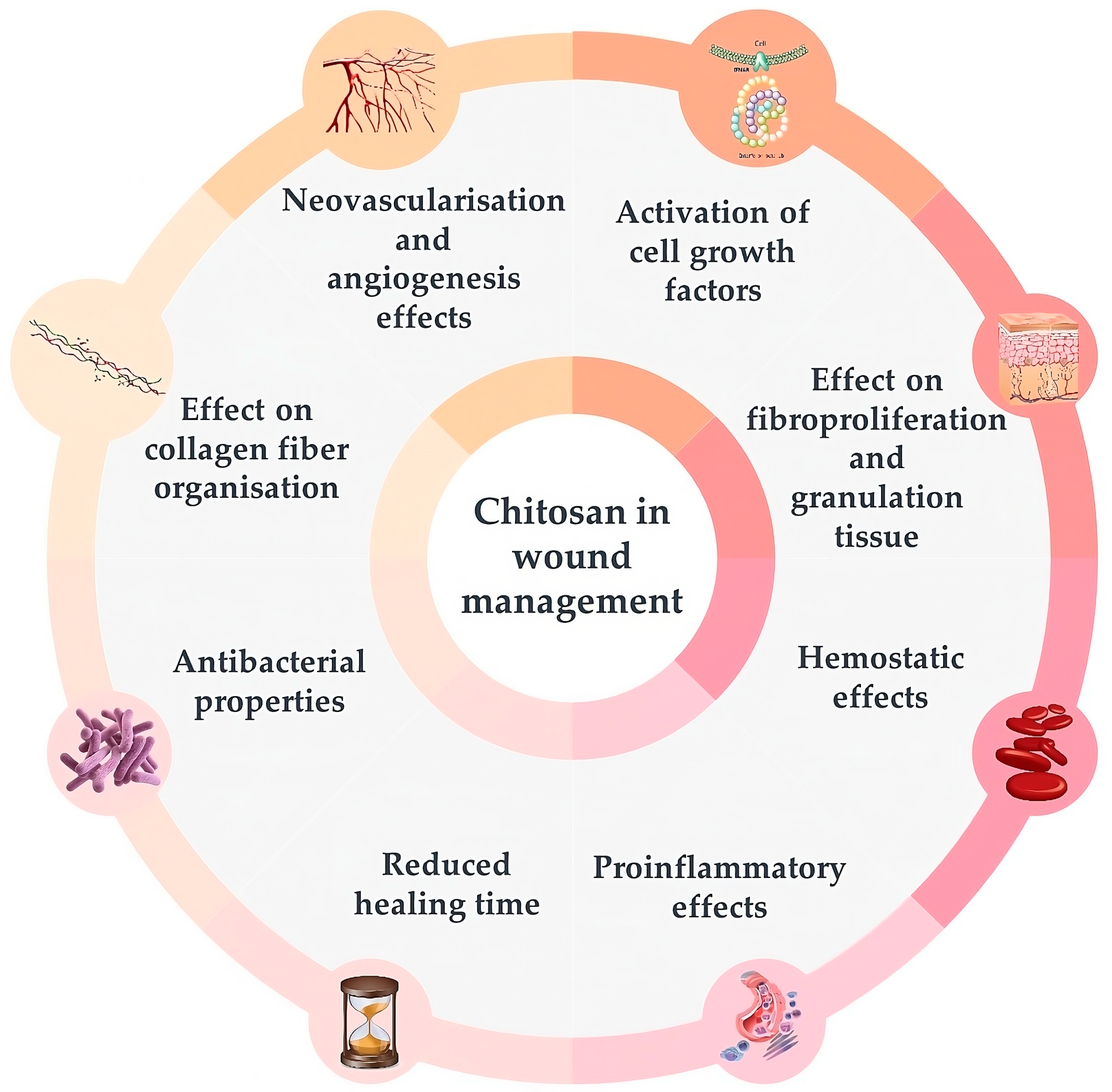 Molecules 29 00883 g003
