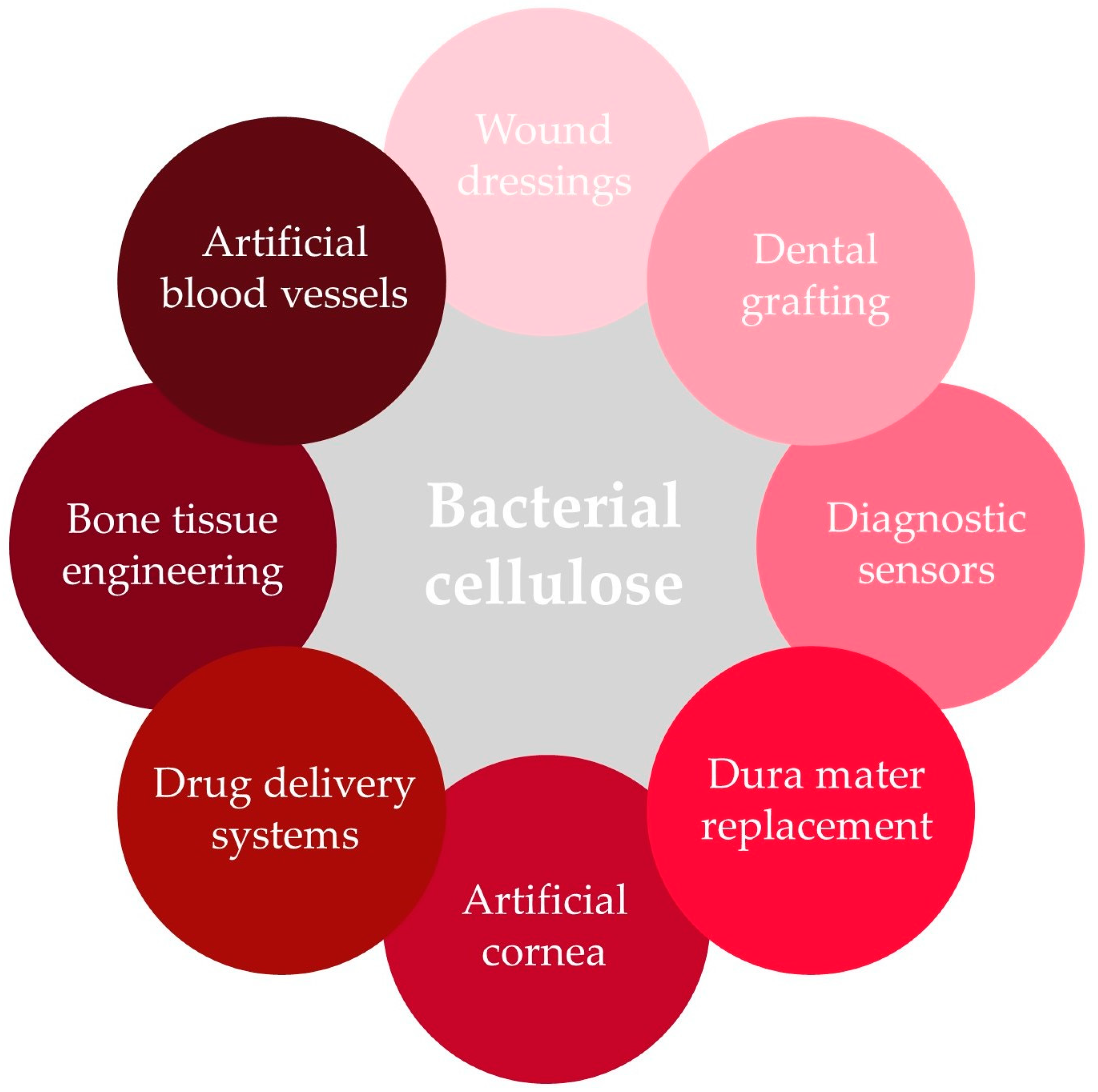 Molecules 29 00883 g004