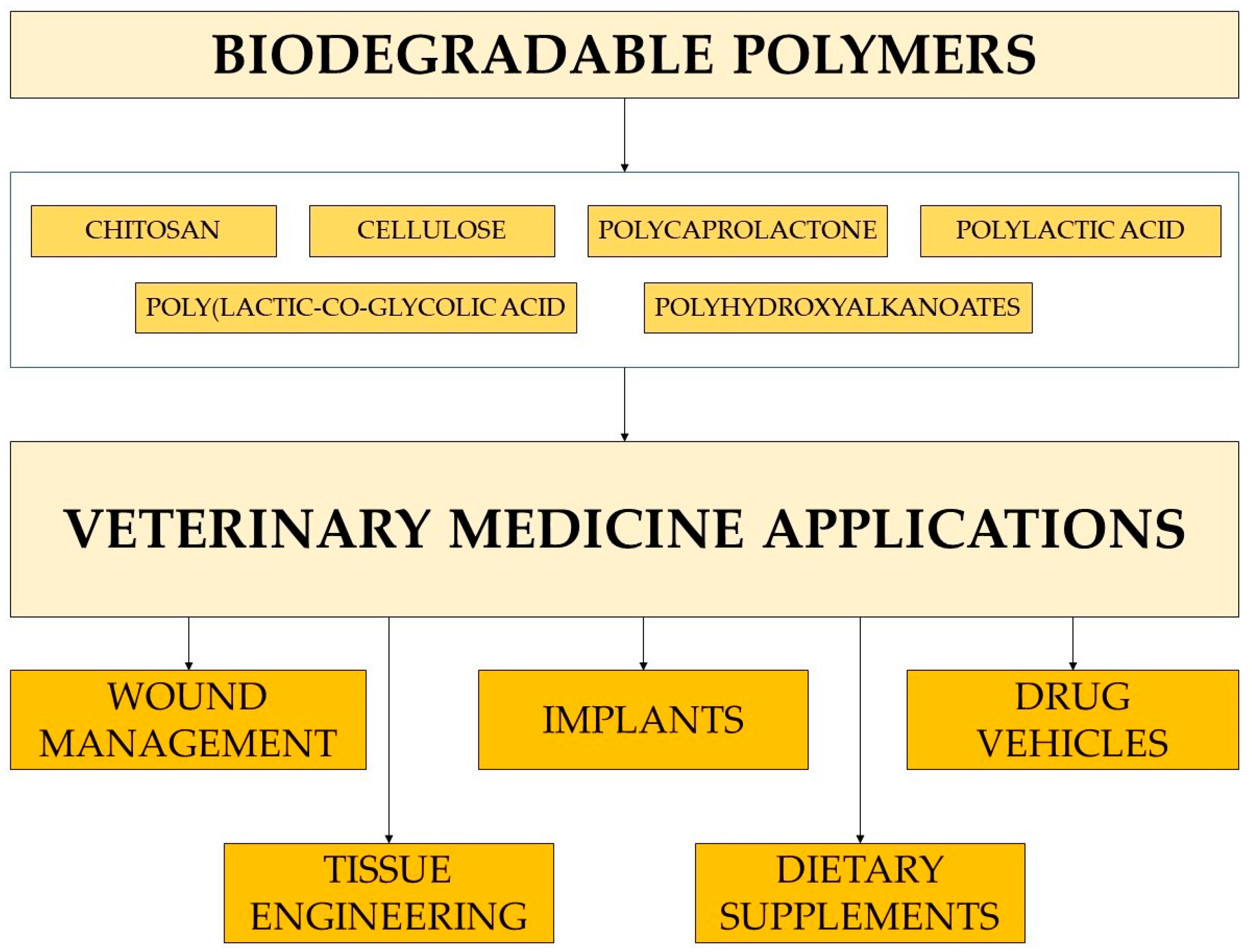 Molecules 29 00883 g005