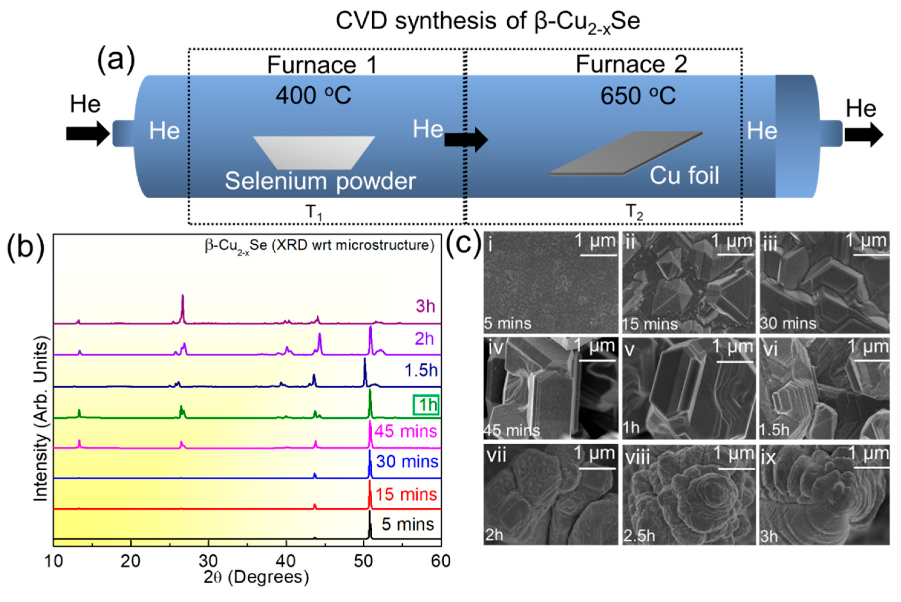 Molecules 29 00887 g001