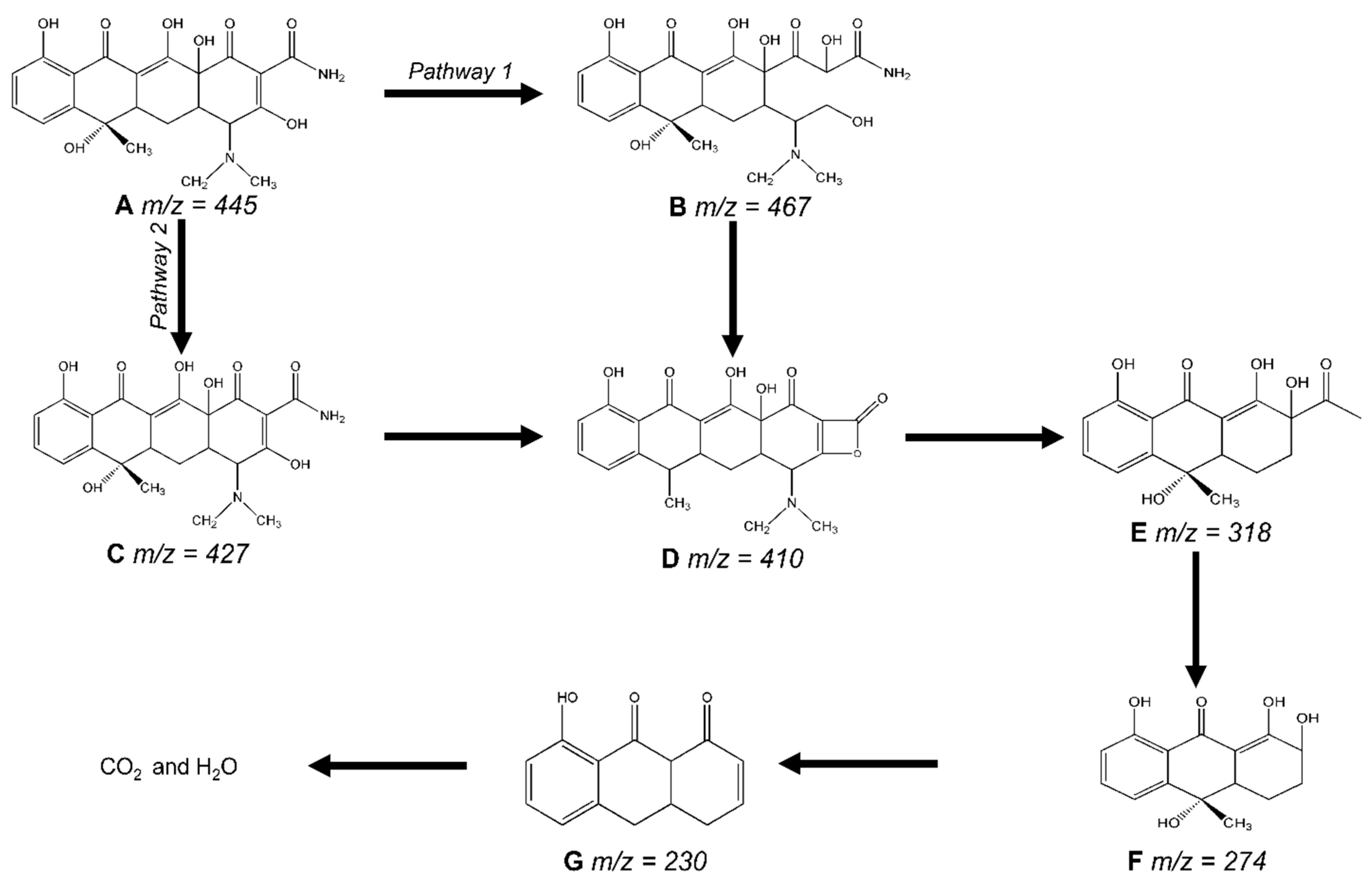 Molecules 29 00887 g007