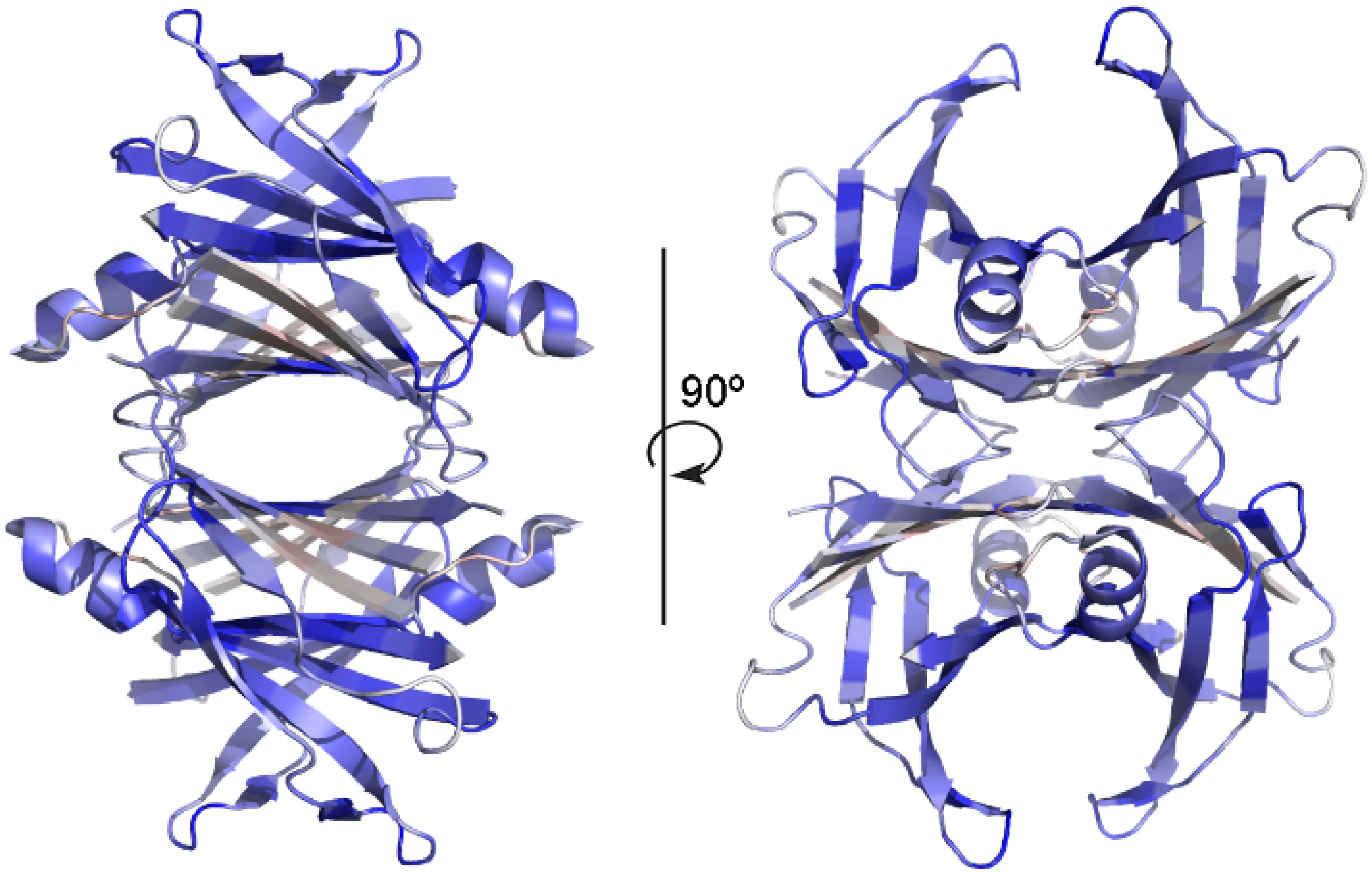 Molecules 29 00895 g004