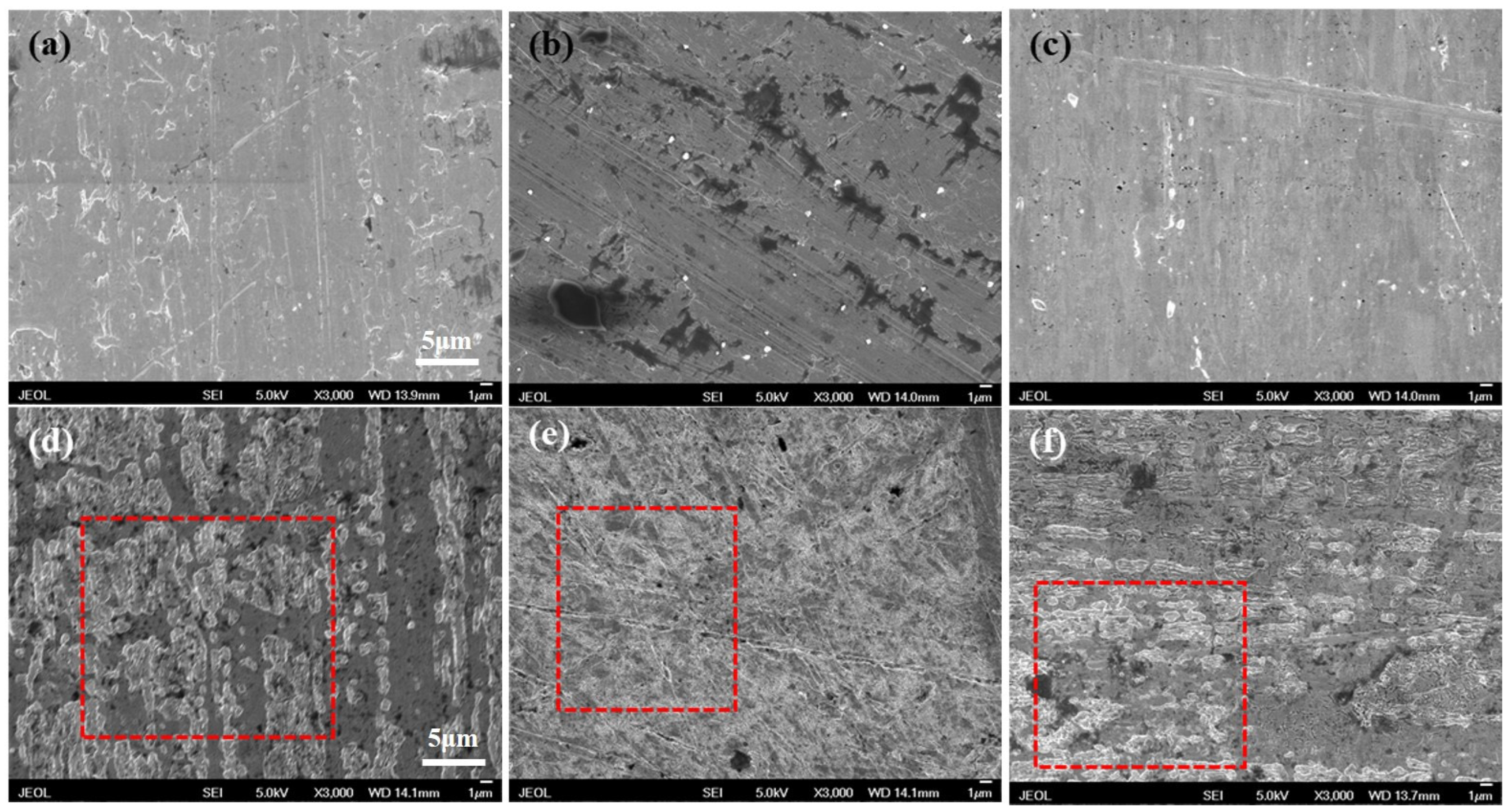 Molecules 29 00897 g005