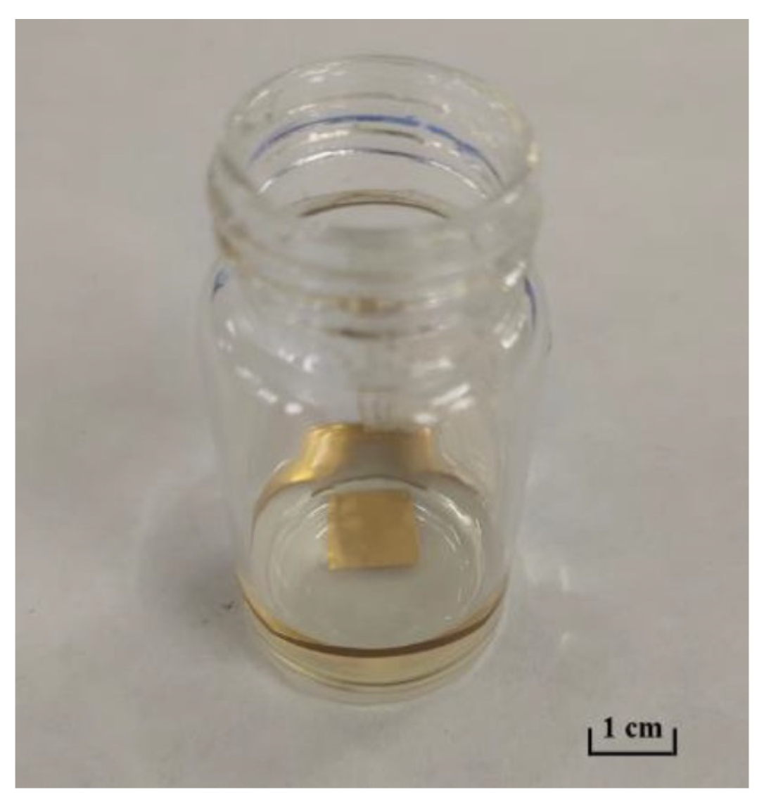Molecules 29 00897 g010