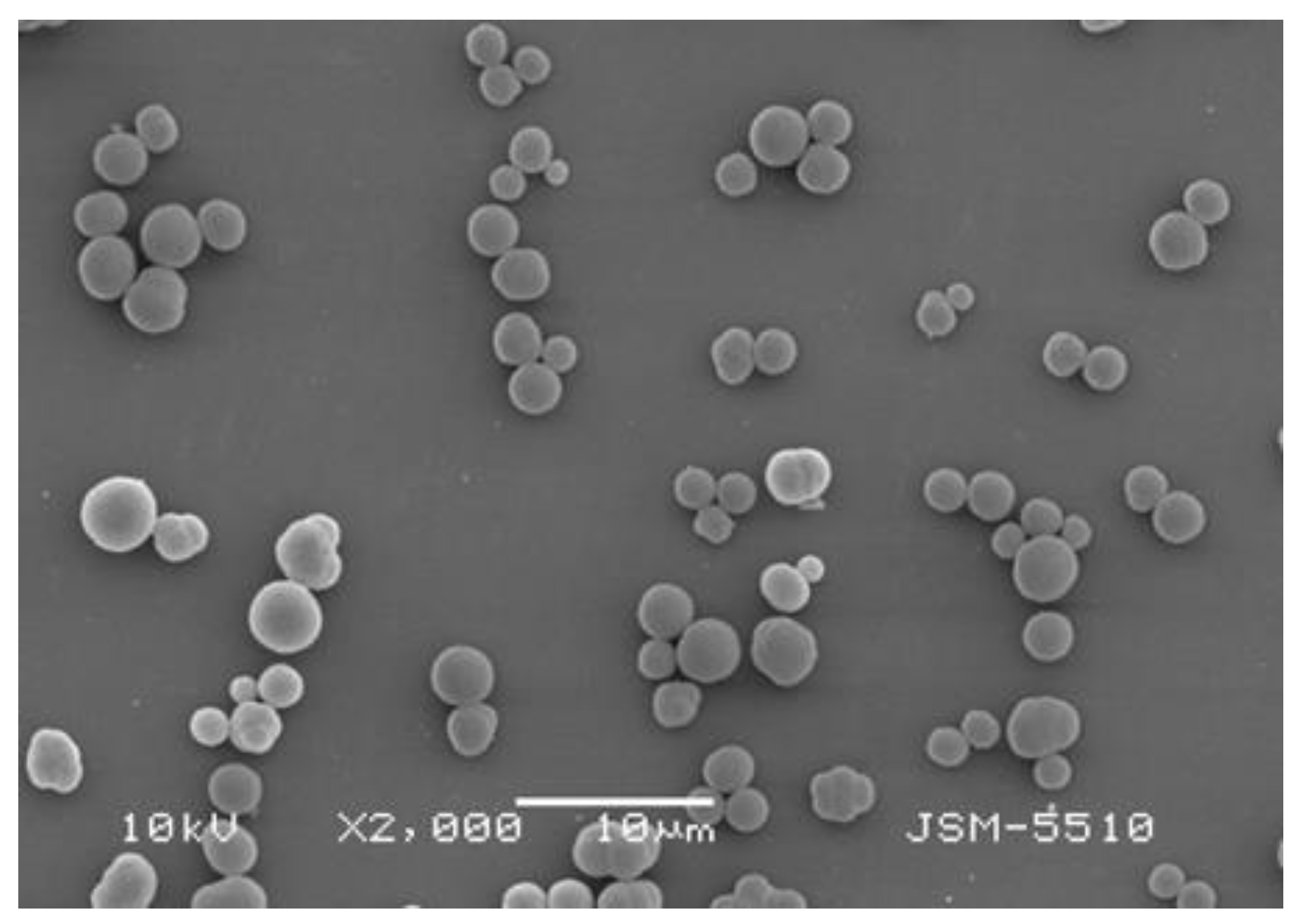 Molecules 29 00898 g002