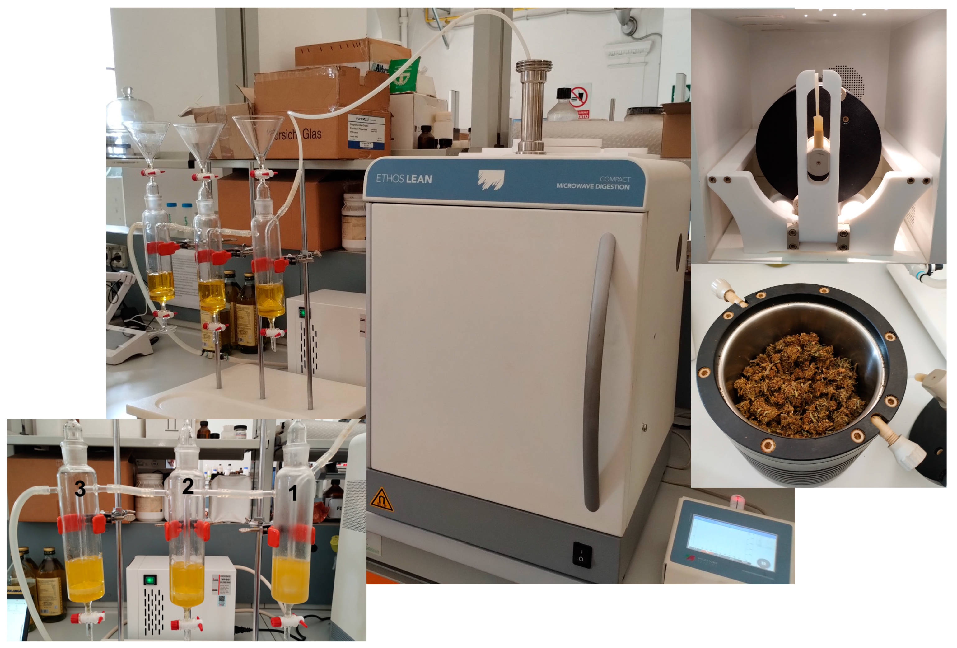 Molecules 29 00899 g001