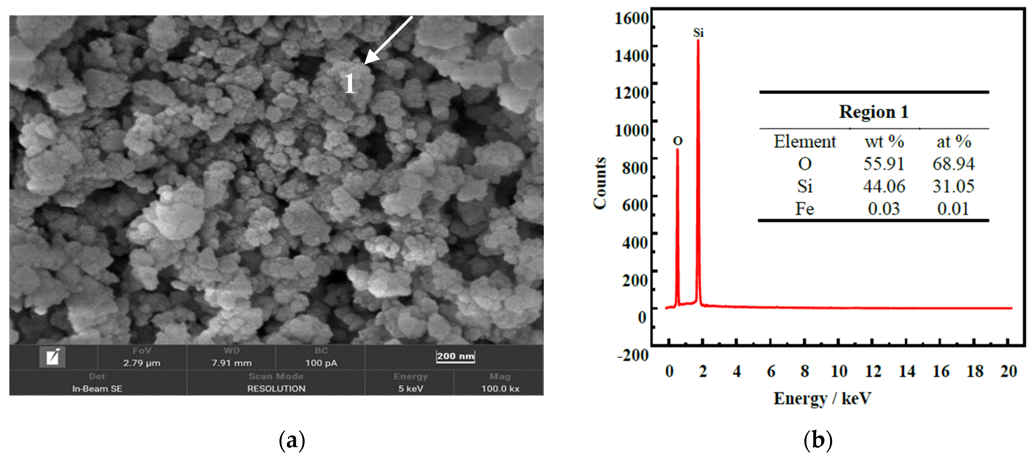 Molecules 29 00905 g009