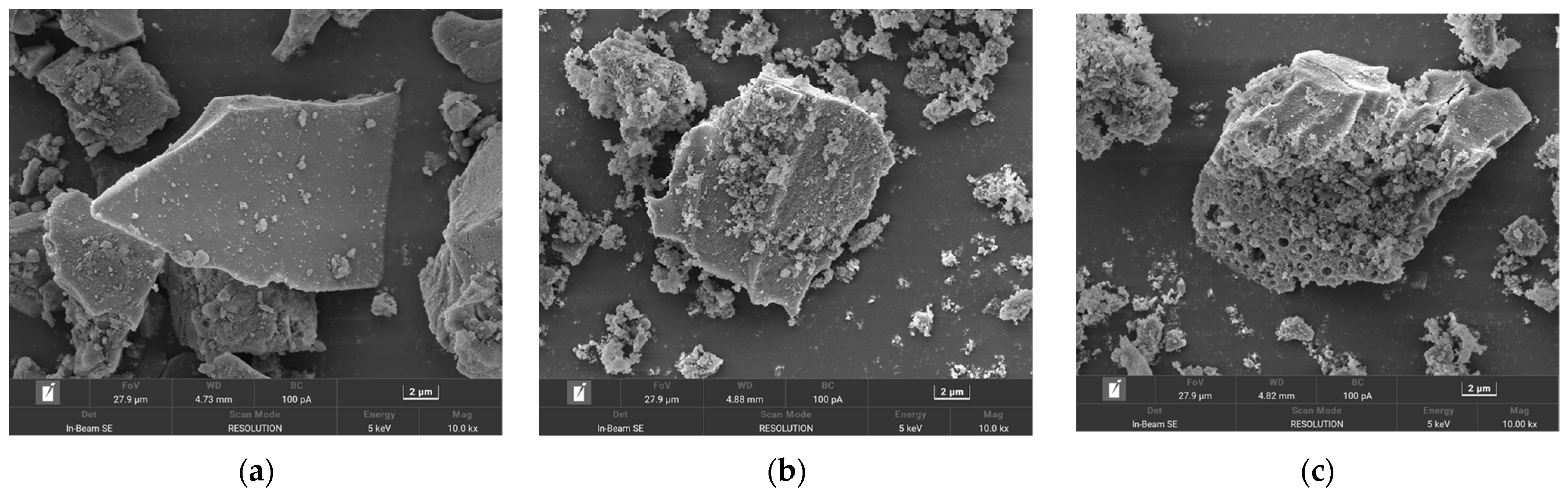 Molecules 29 00905 g013a