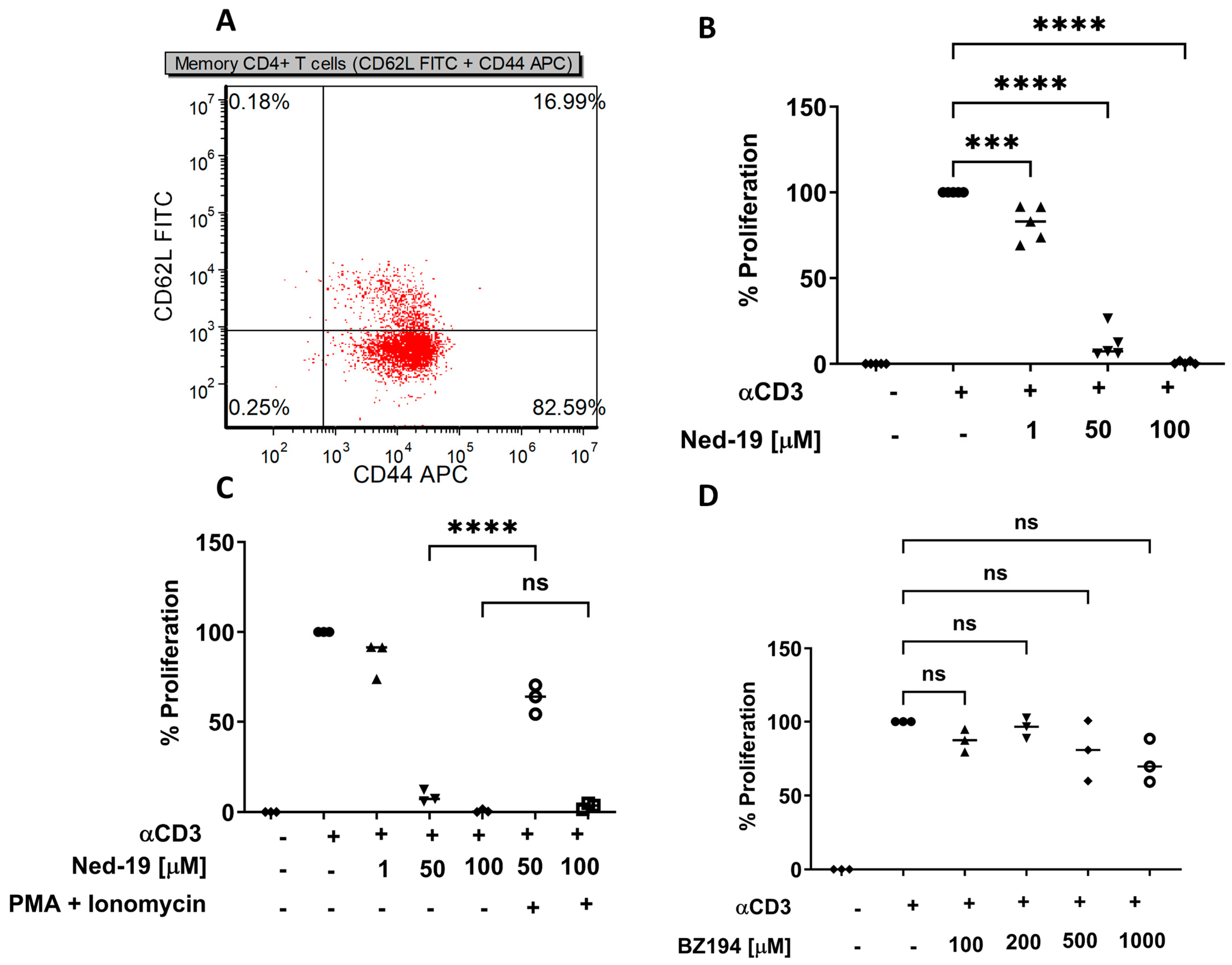 Molecules 29 00907 g001