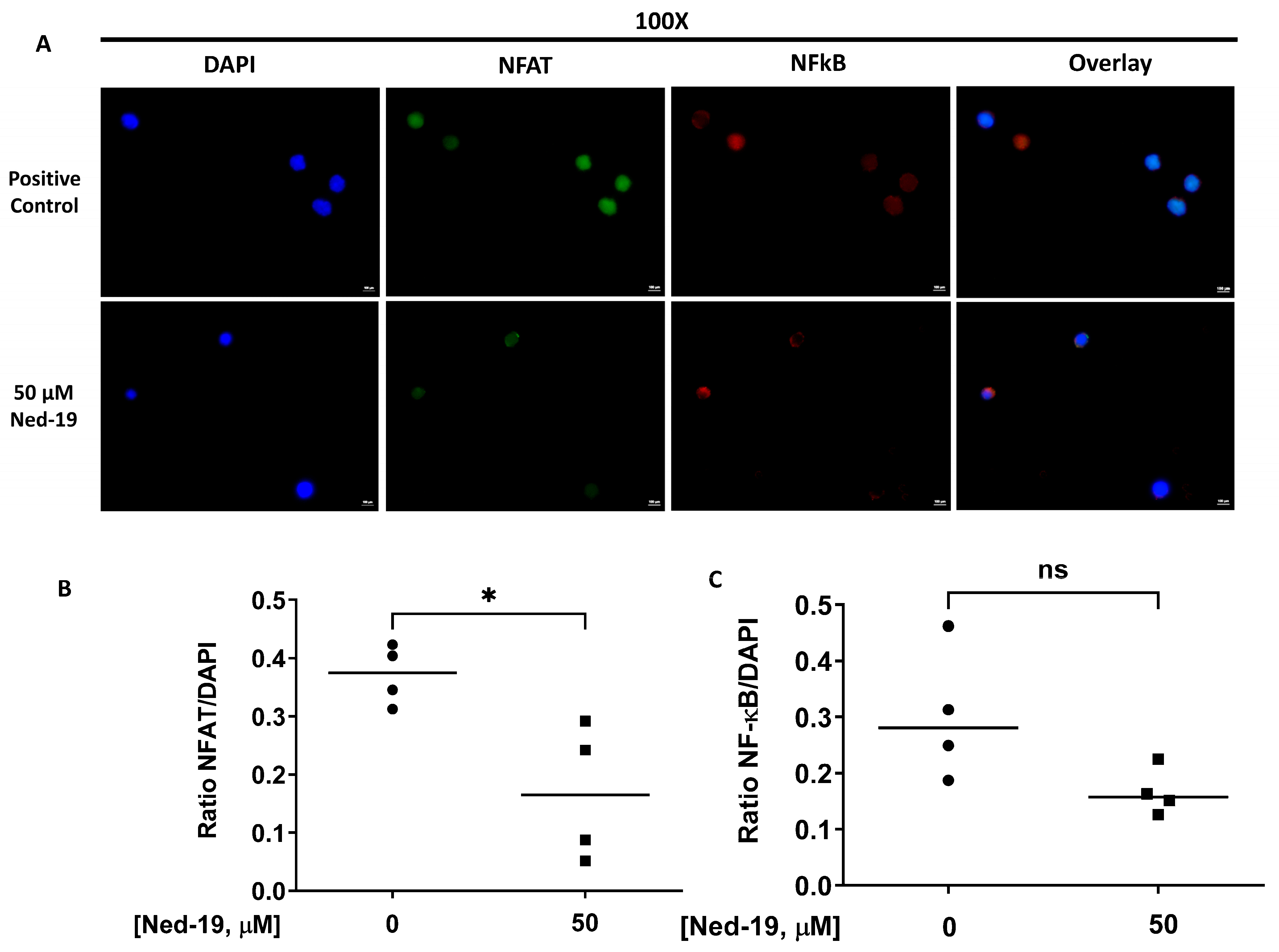 Molecules 29 00907 g007