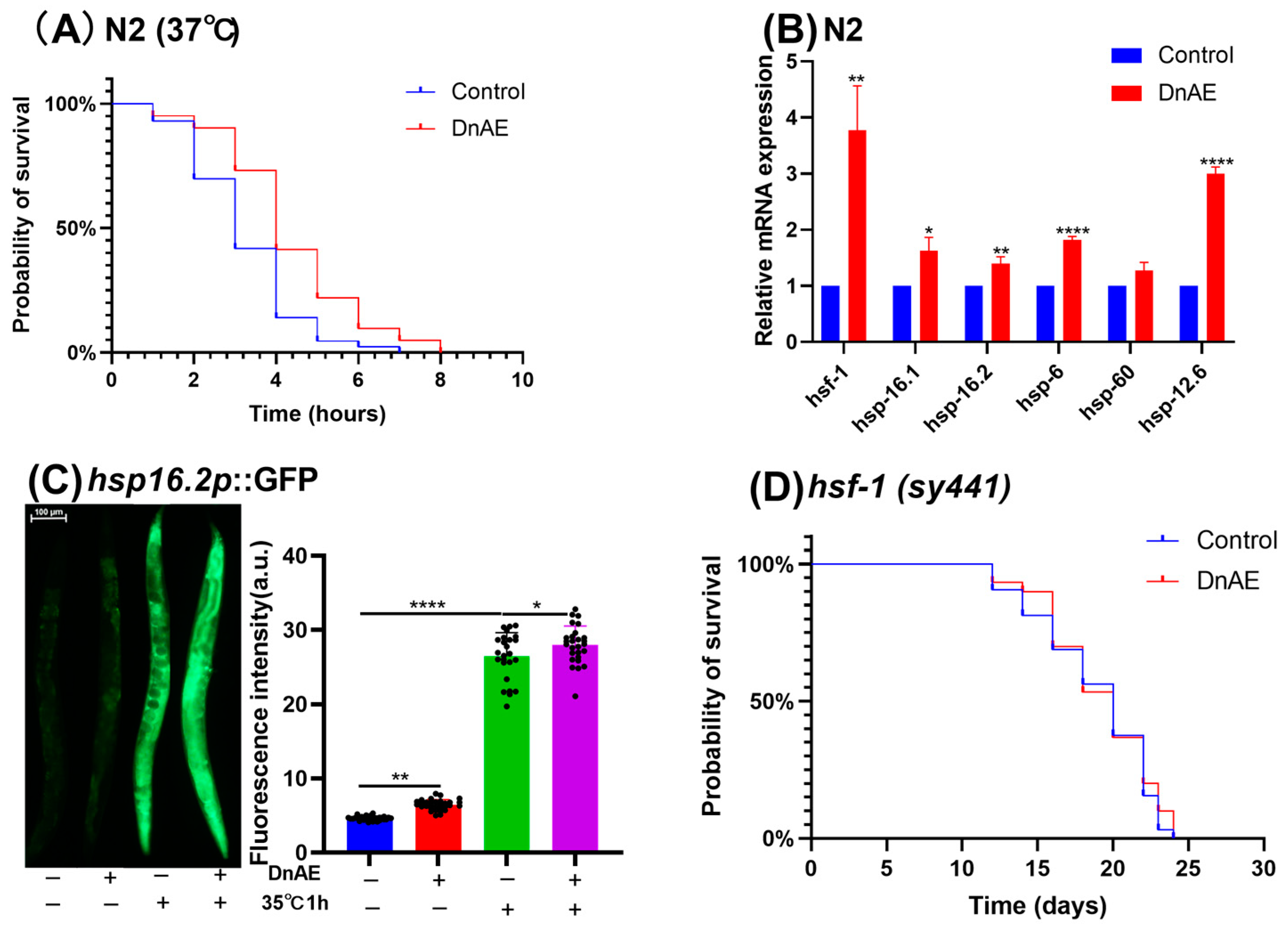 Molecules 29 00908 g003