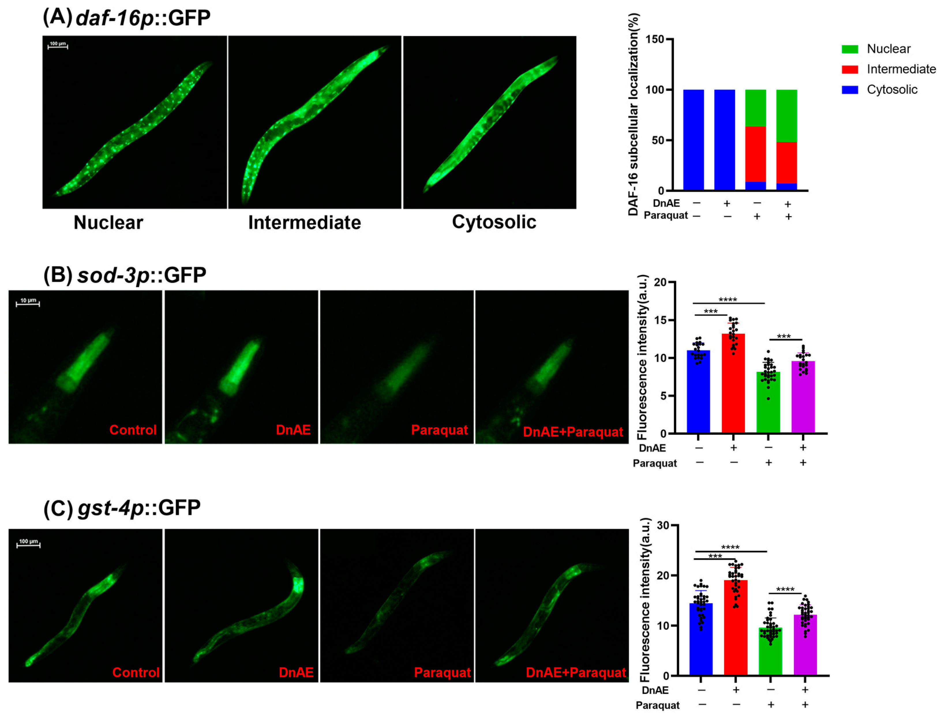 Molecules 29 00908 g005