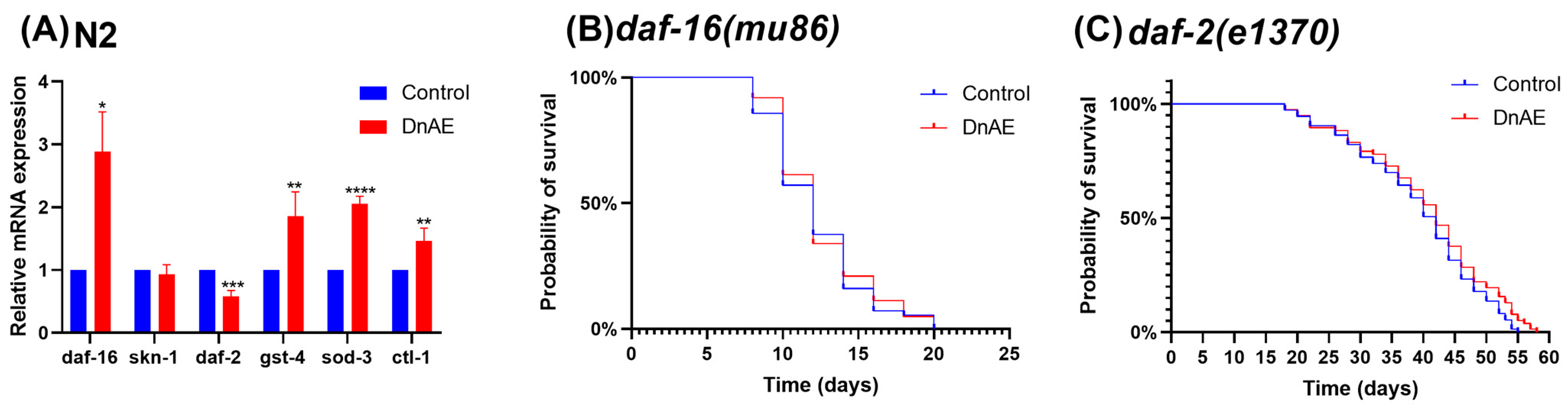 Molecules 29 00908 g006