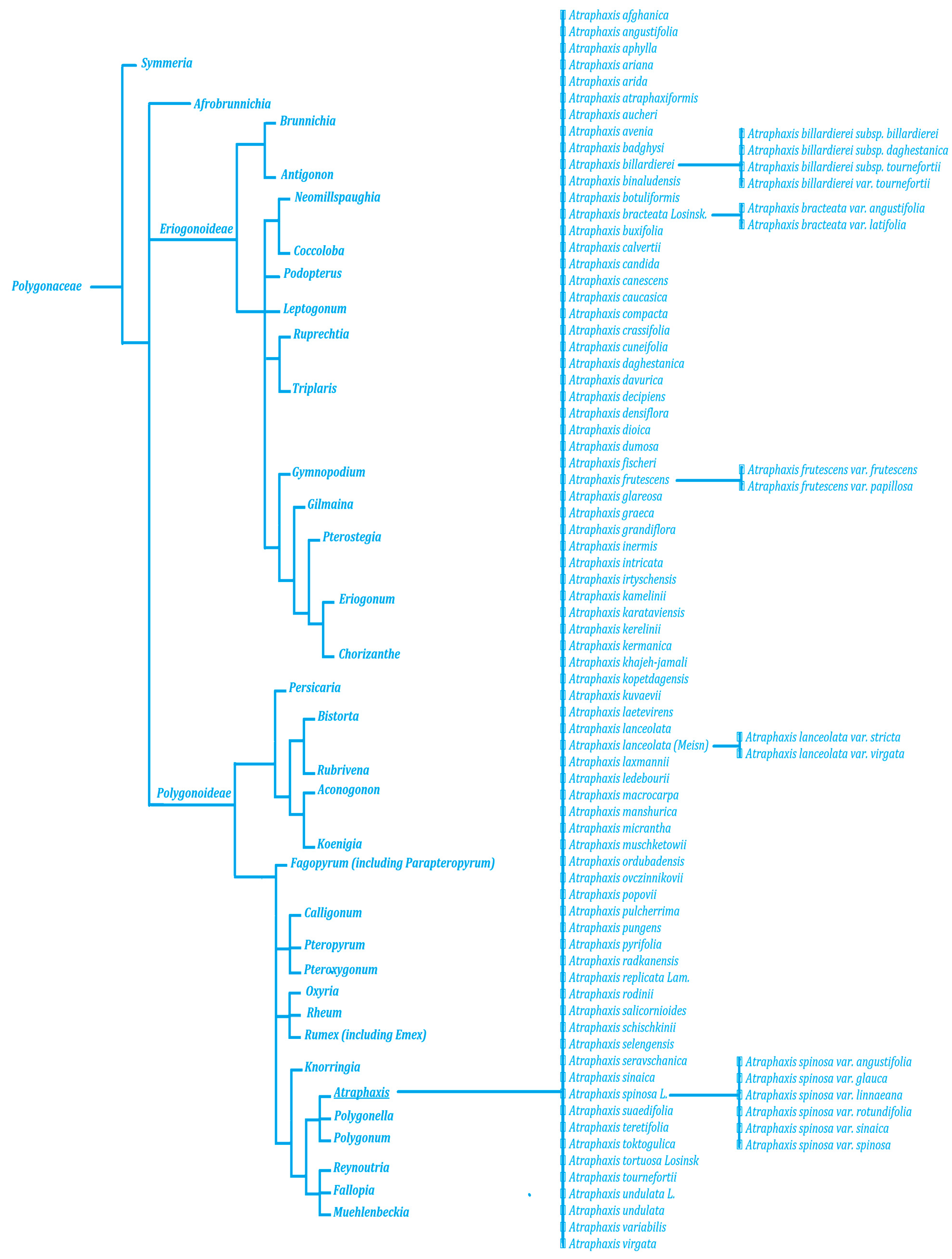 Molecules 29 00910 g001 Molecules 29 00910 g001