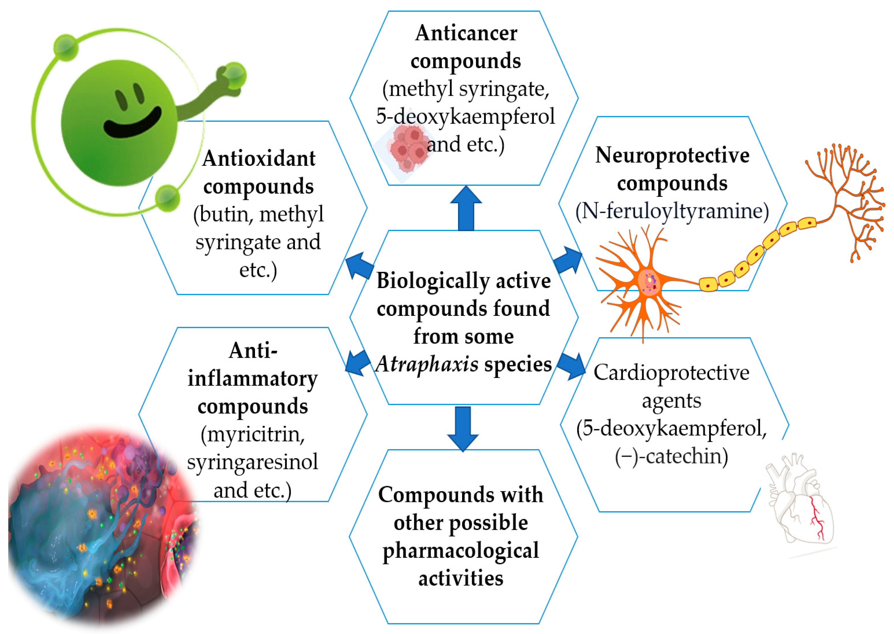 Molecules 29 00910 g003 Molecules 29 00910 g003