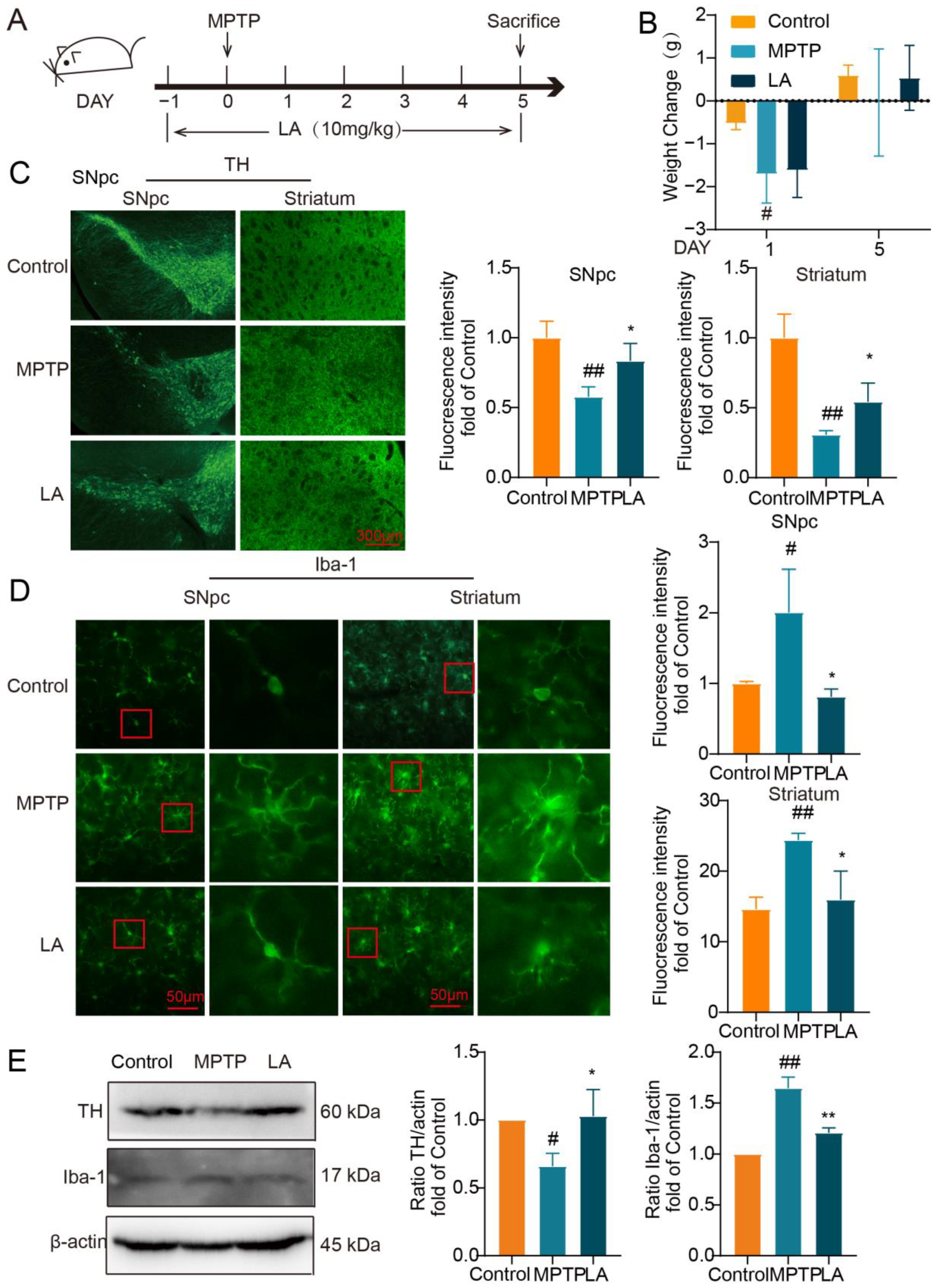 Molecules 29 00912 g008