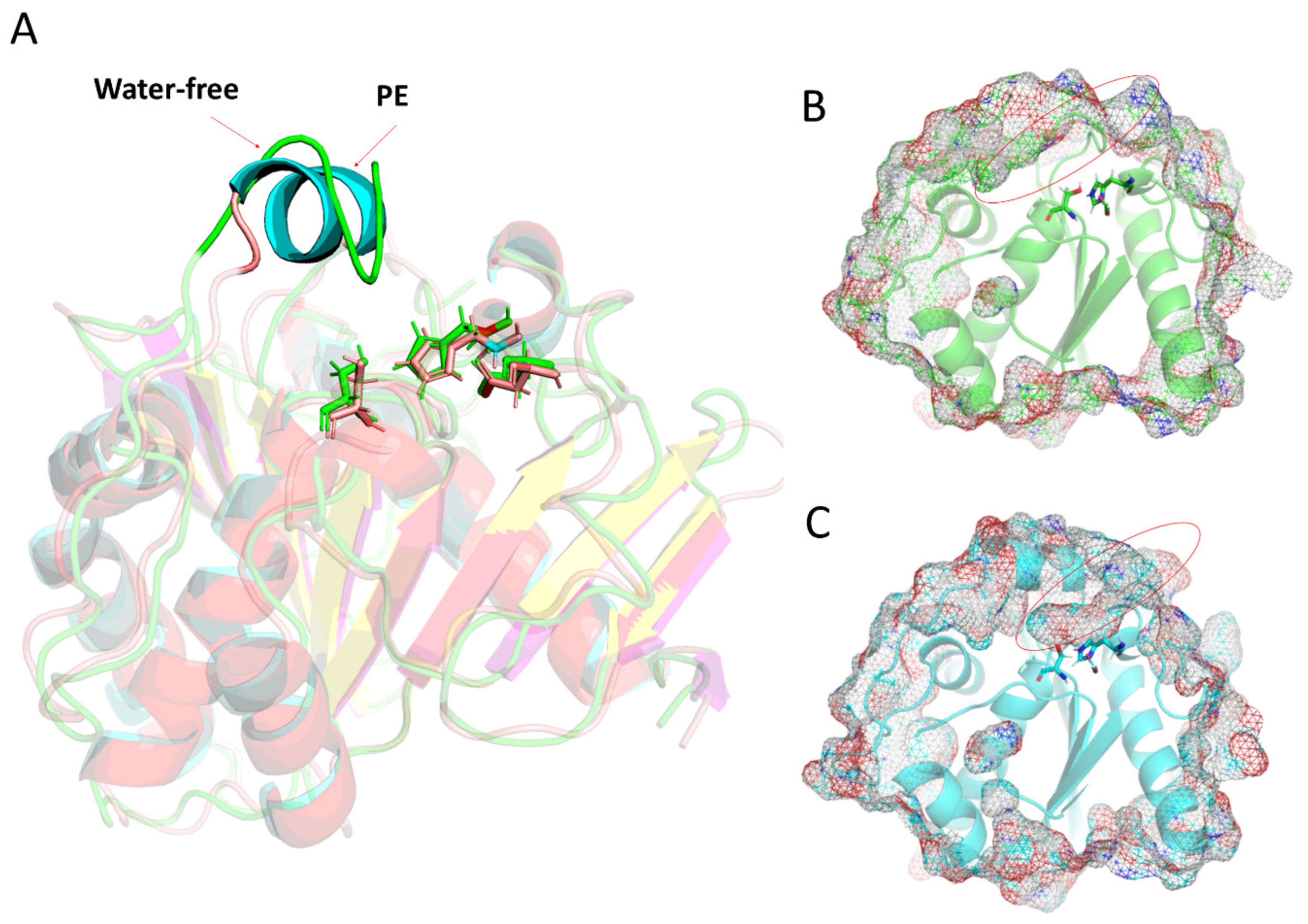 Molecules 29 00915 g004