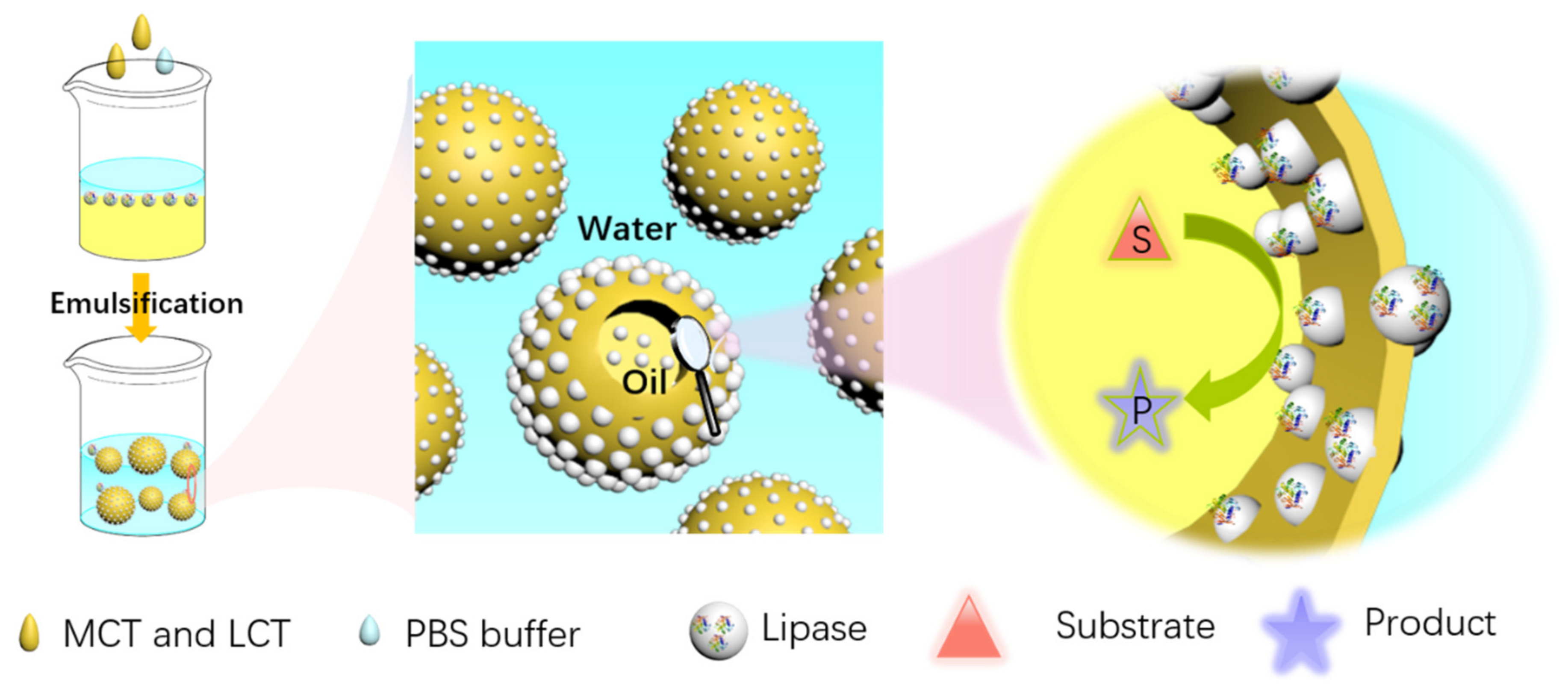 Molecules 29 00915 sch001