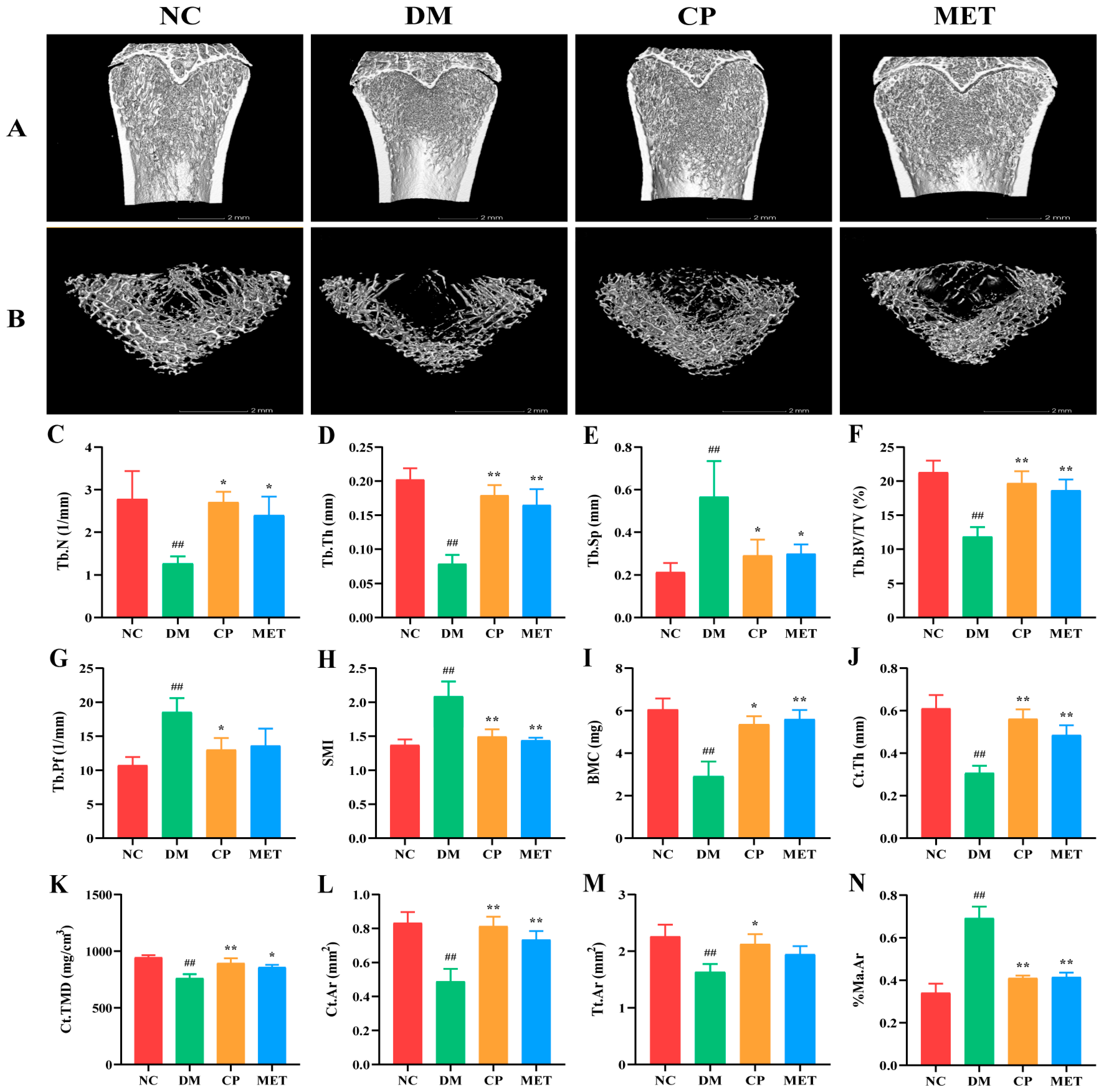 Molecules 29 00924 g003
