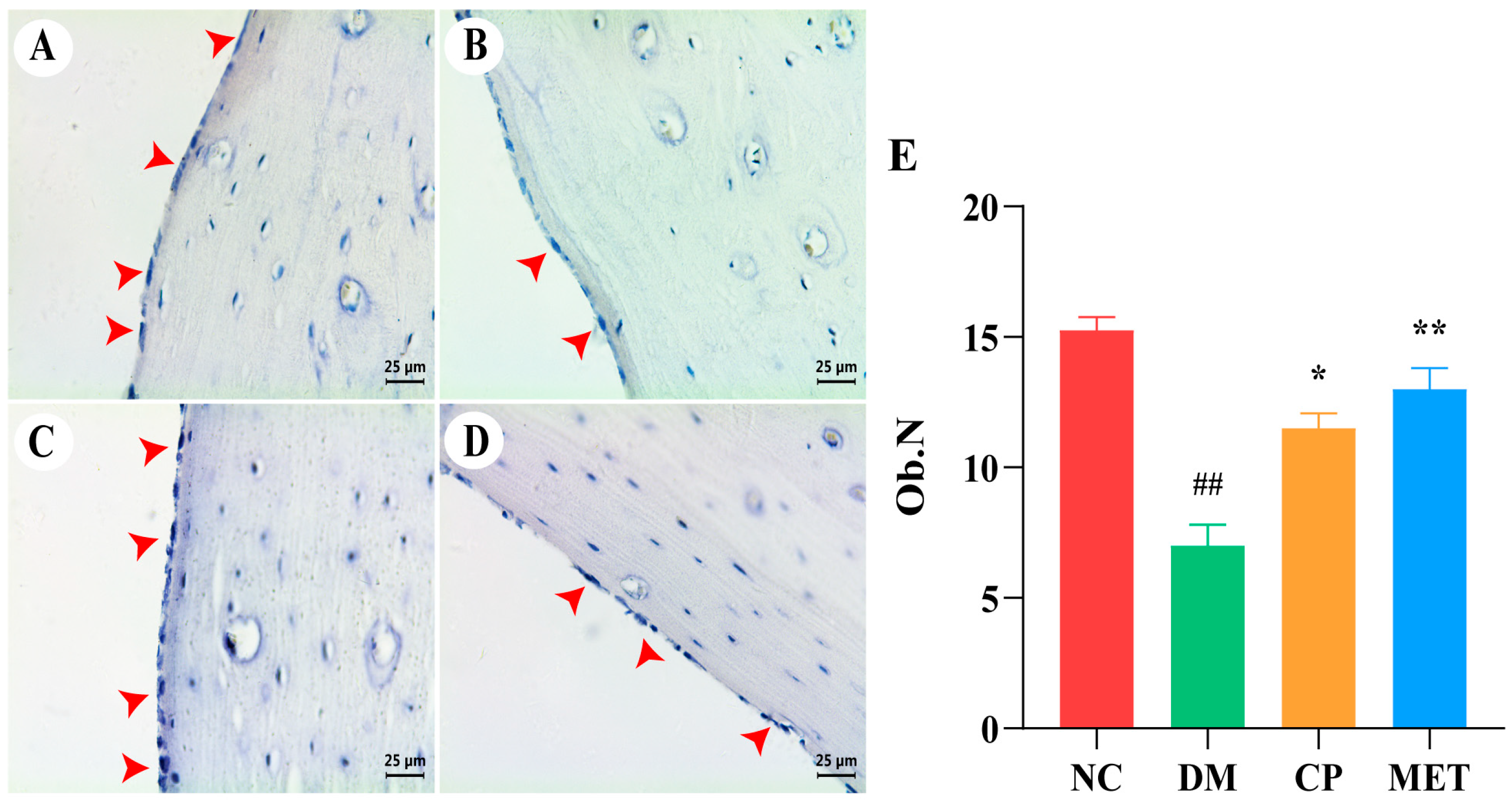 Molecules 29 00924 g009