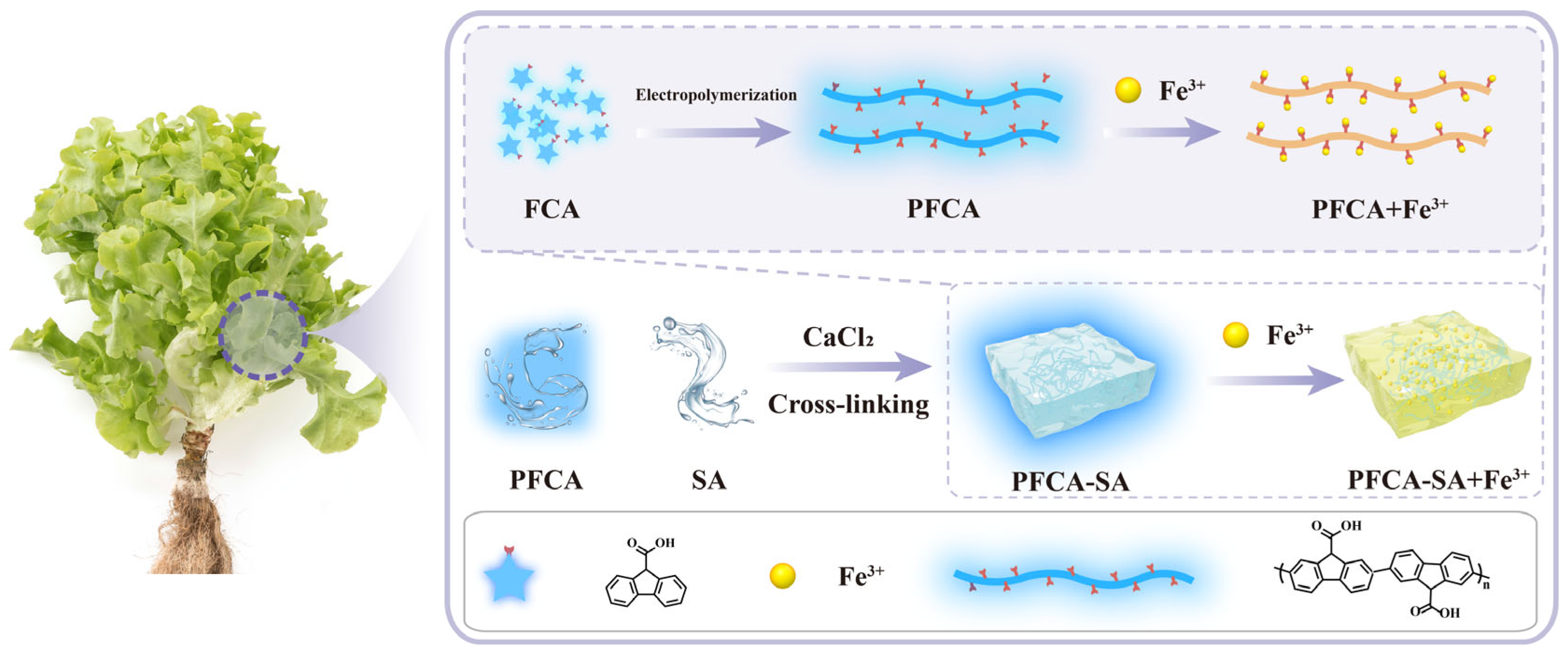Molecules 29 00925 sch001
