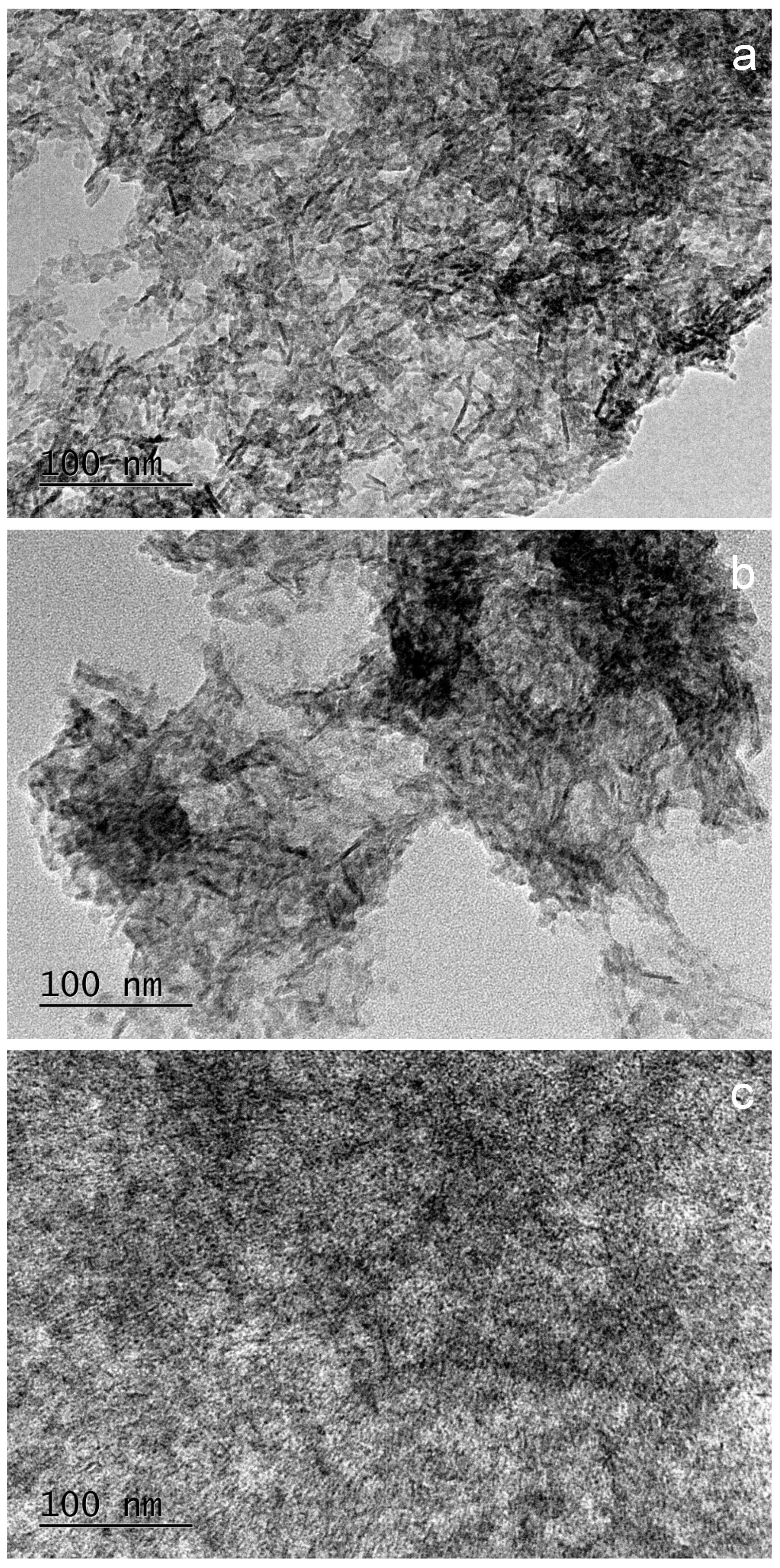 Molecules 29 00930 g004