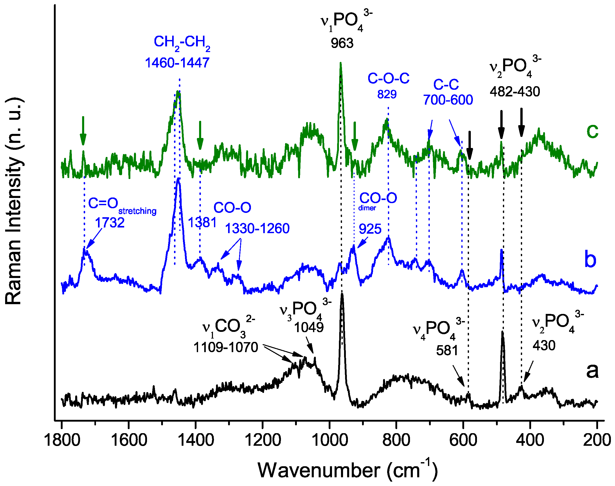 Molecules 29 00930 g008b