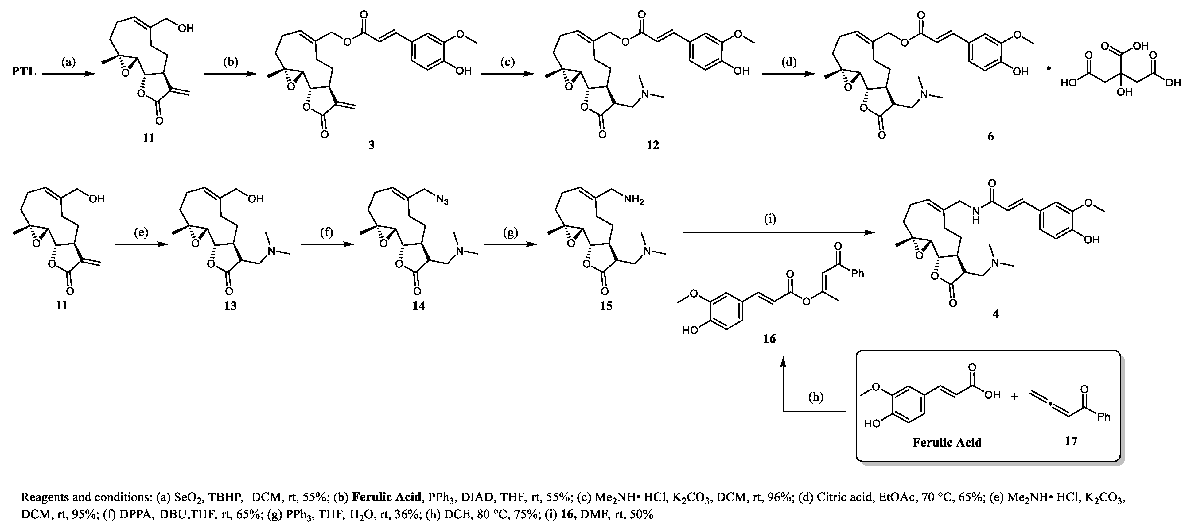 Molecules 29 00936 sch002