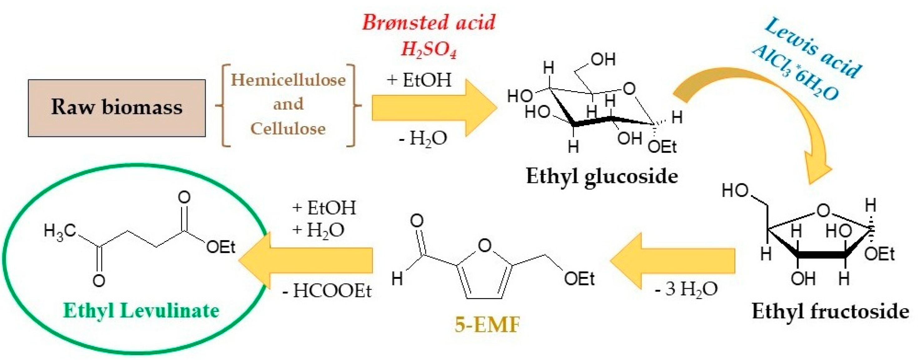 Molecules 29 00937 g001