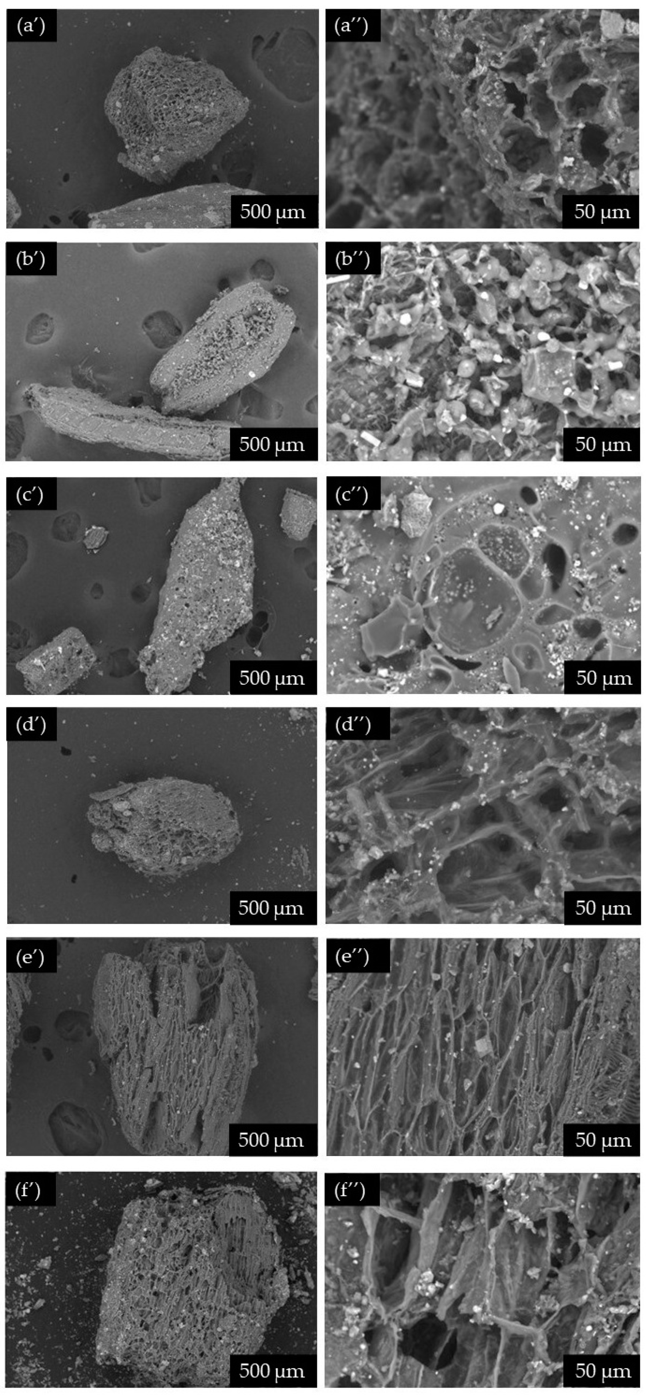 Molecules 29 00937 g005