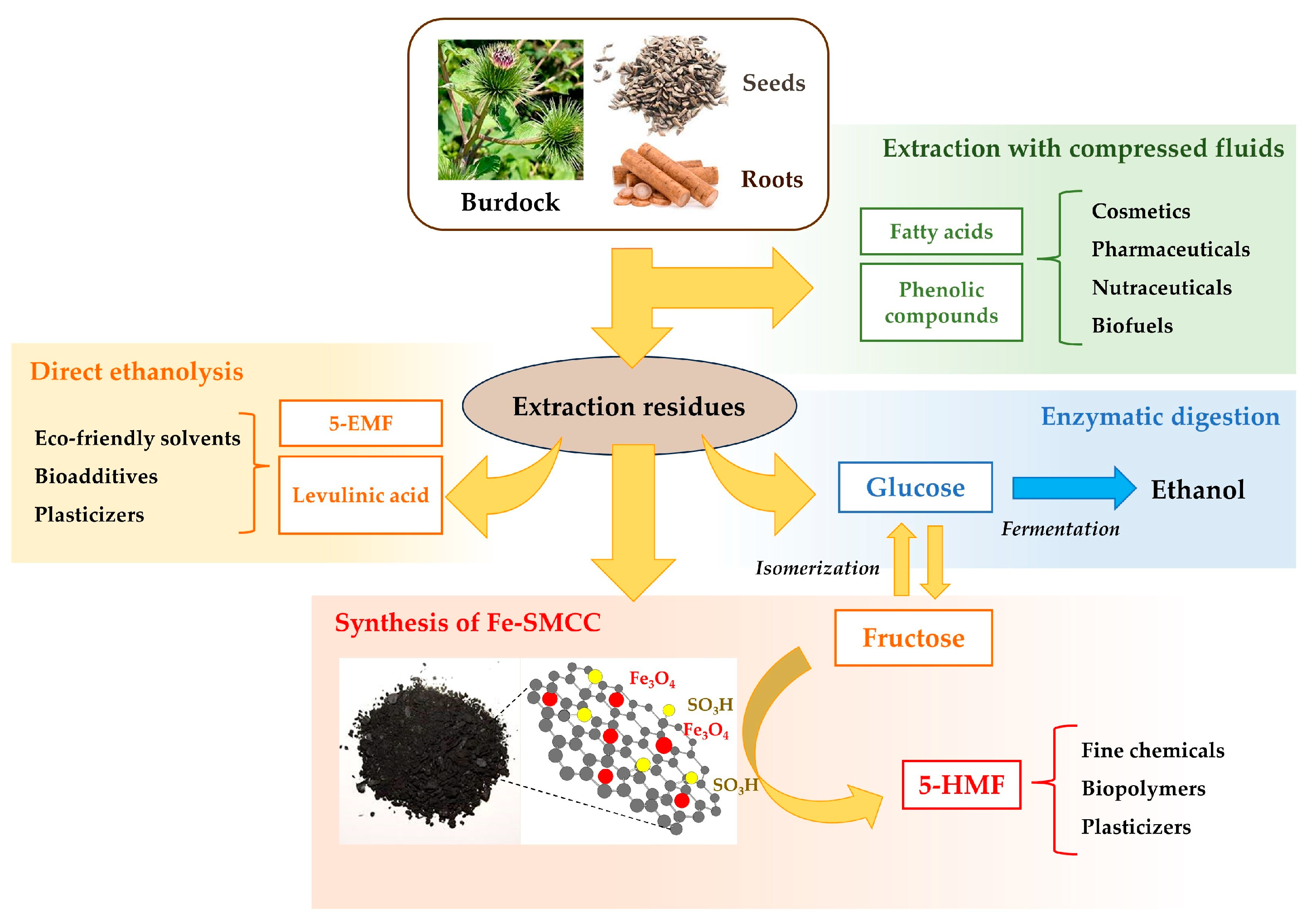Molecules 29 00937 g007