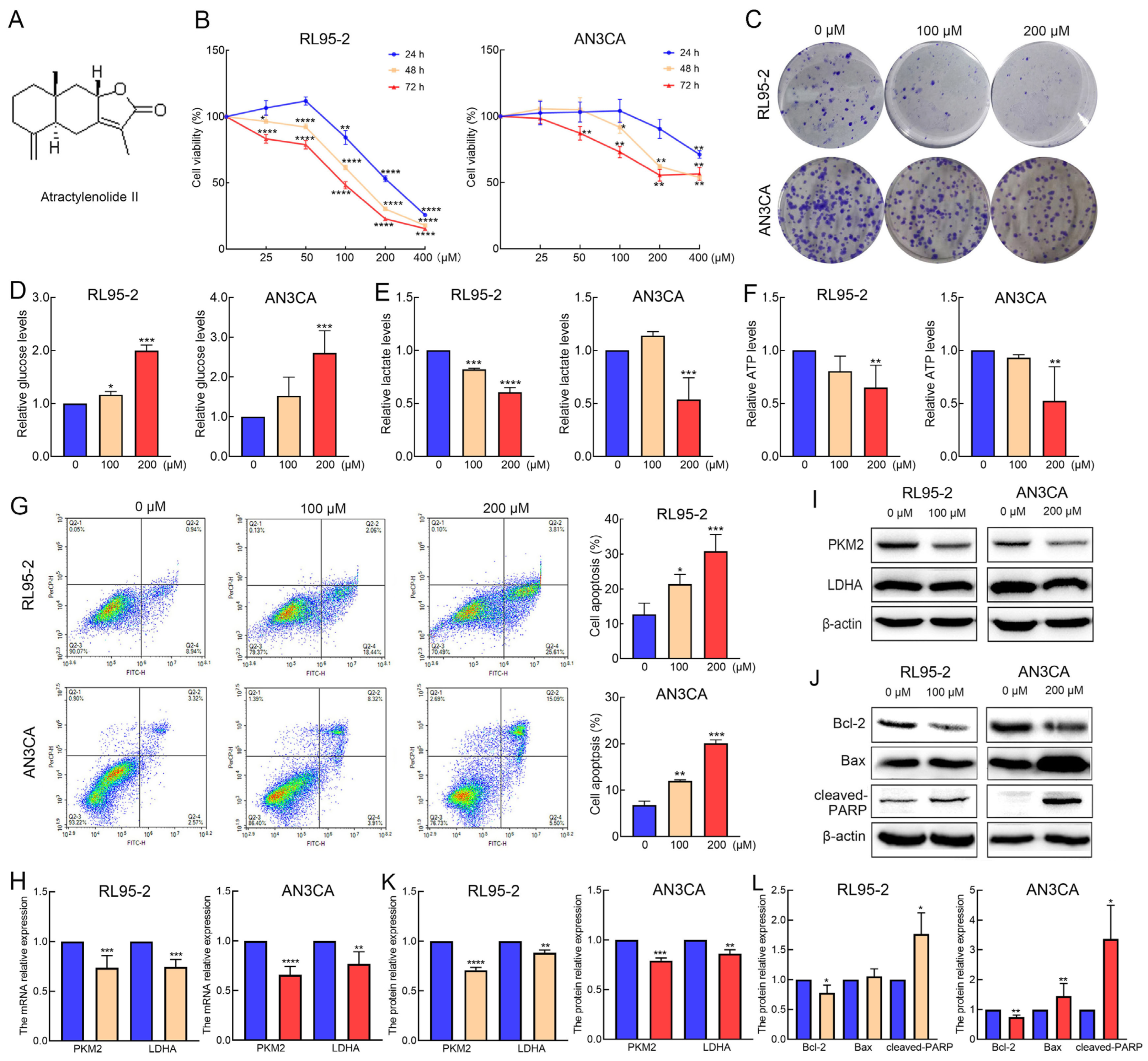 Molecules 29 00939 g001