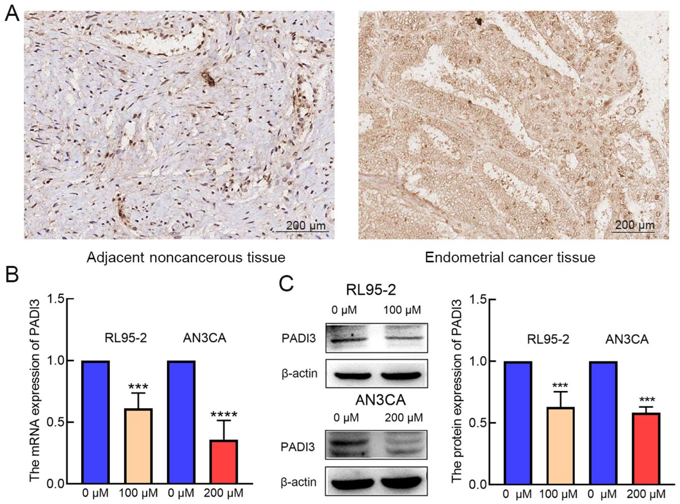 Molecules 29 00939 g003
