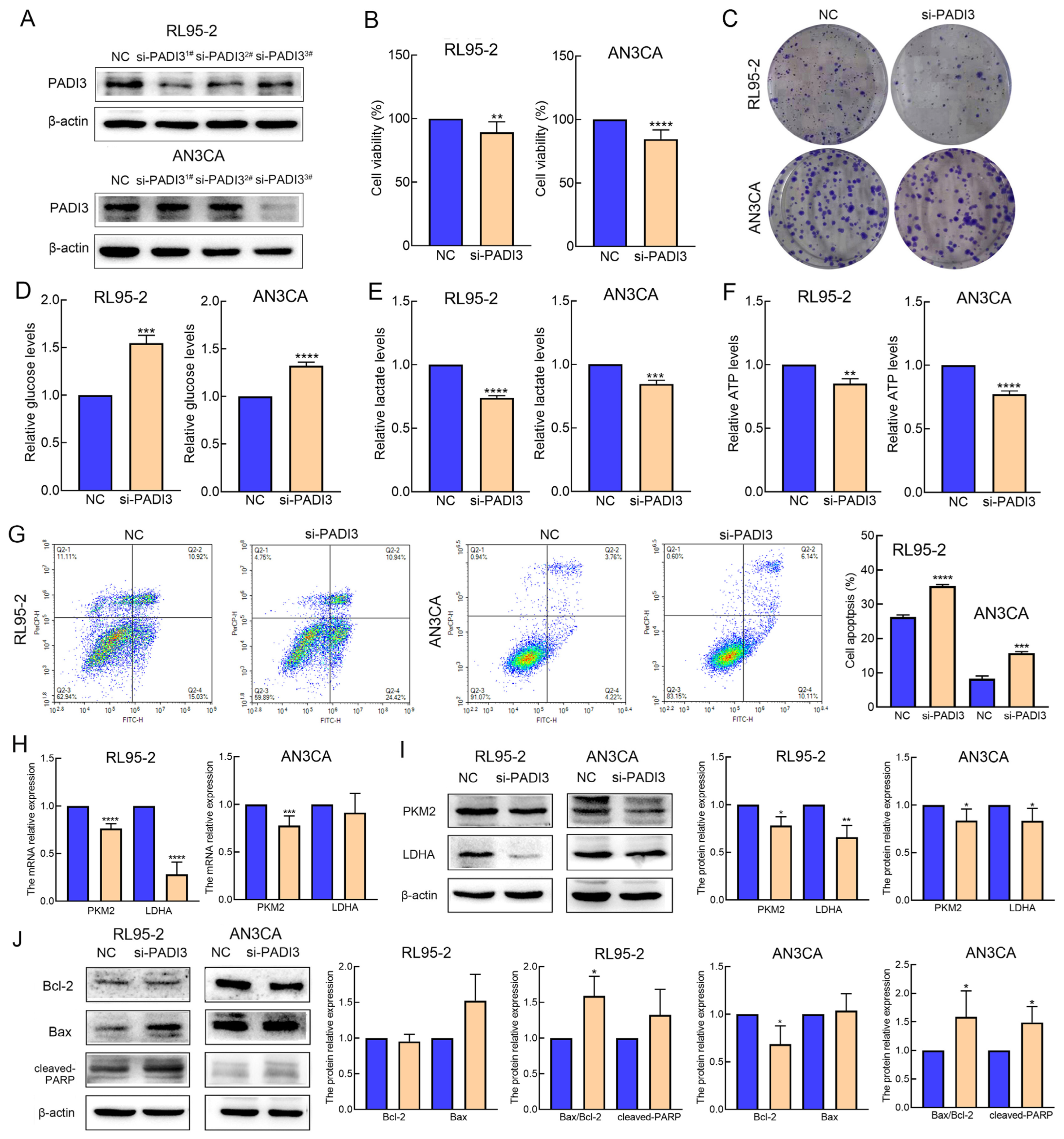 Molecules 29 00939 g004