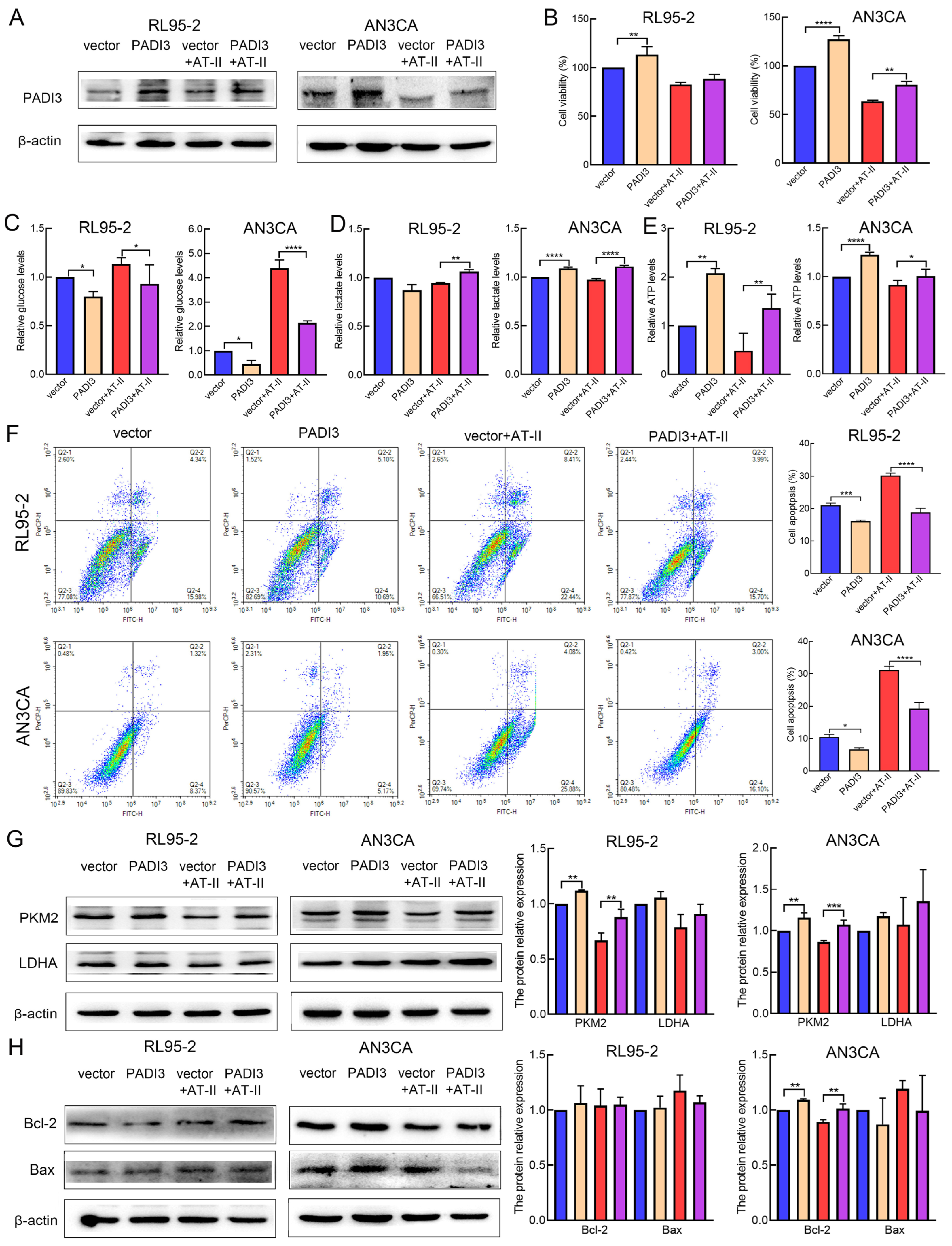 Molecules 29 00939 g005