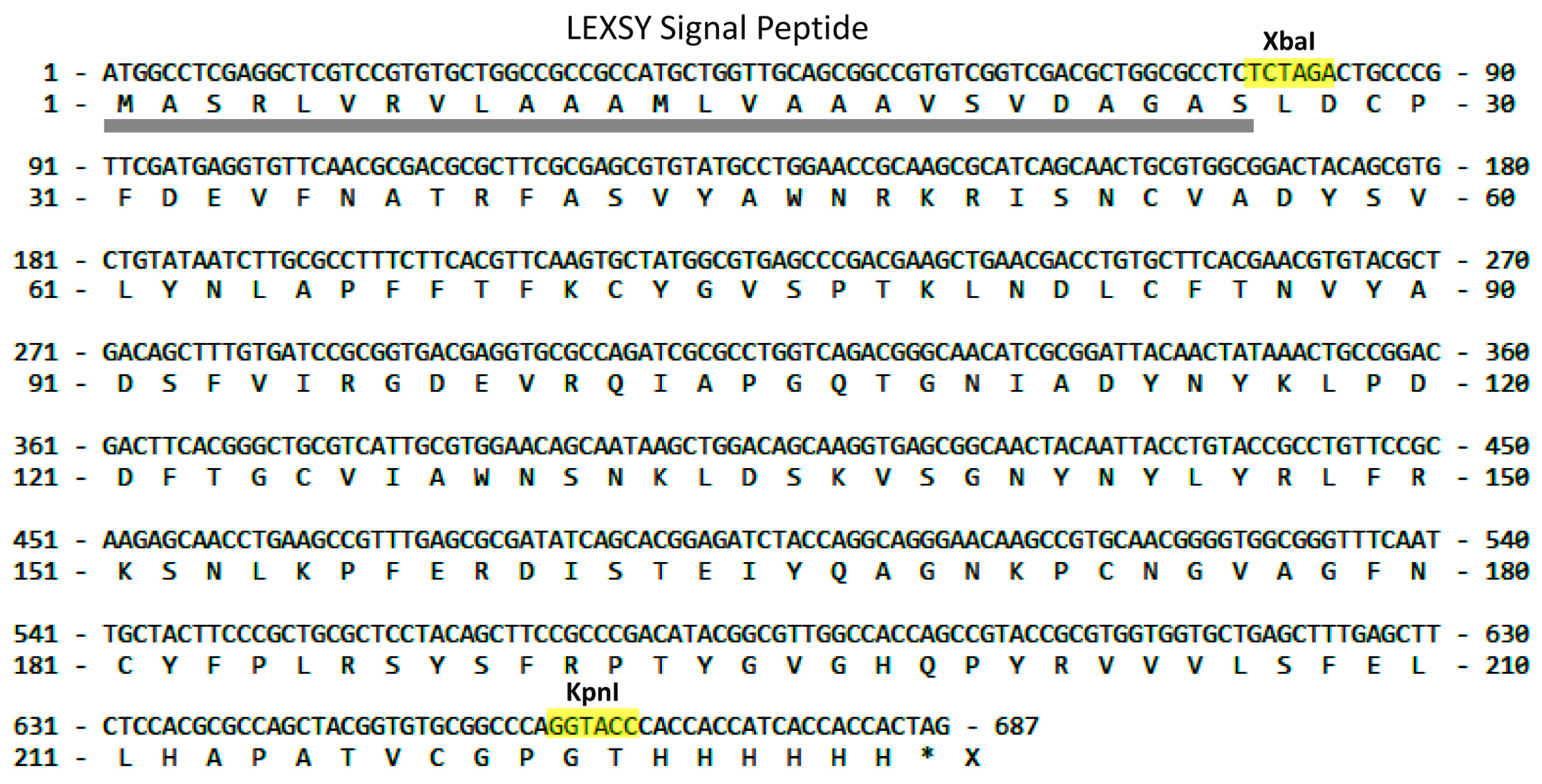 Molecules 29 00943 g001