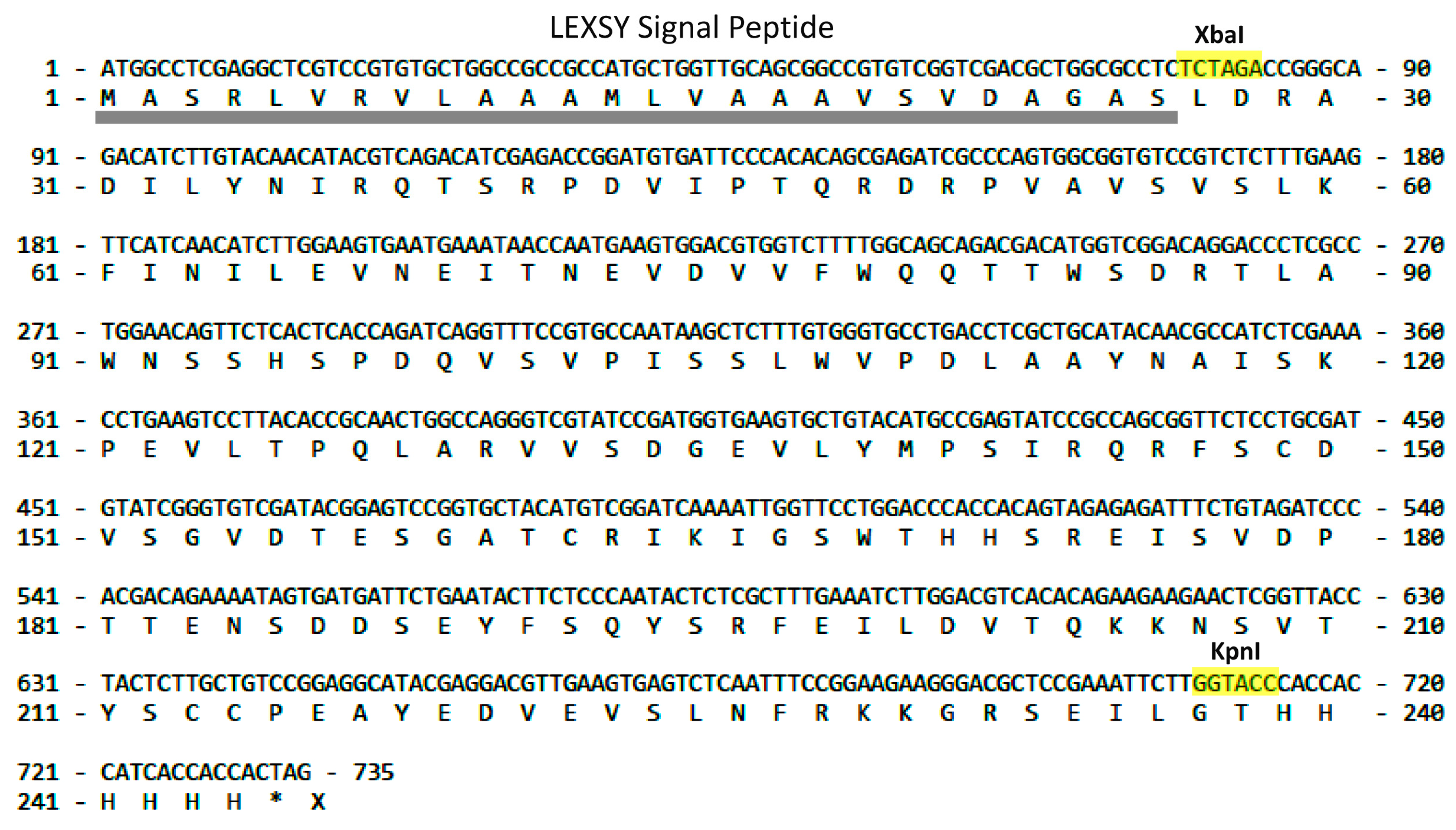 Molecules 29 00943 g002