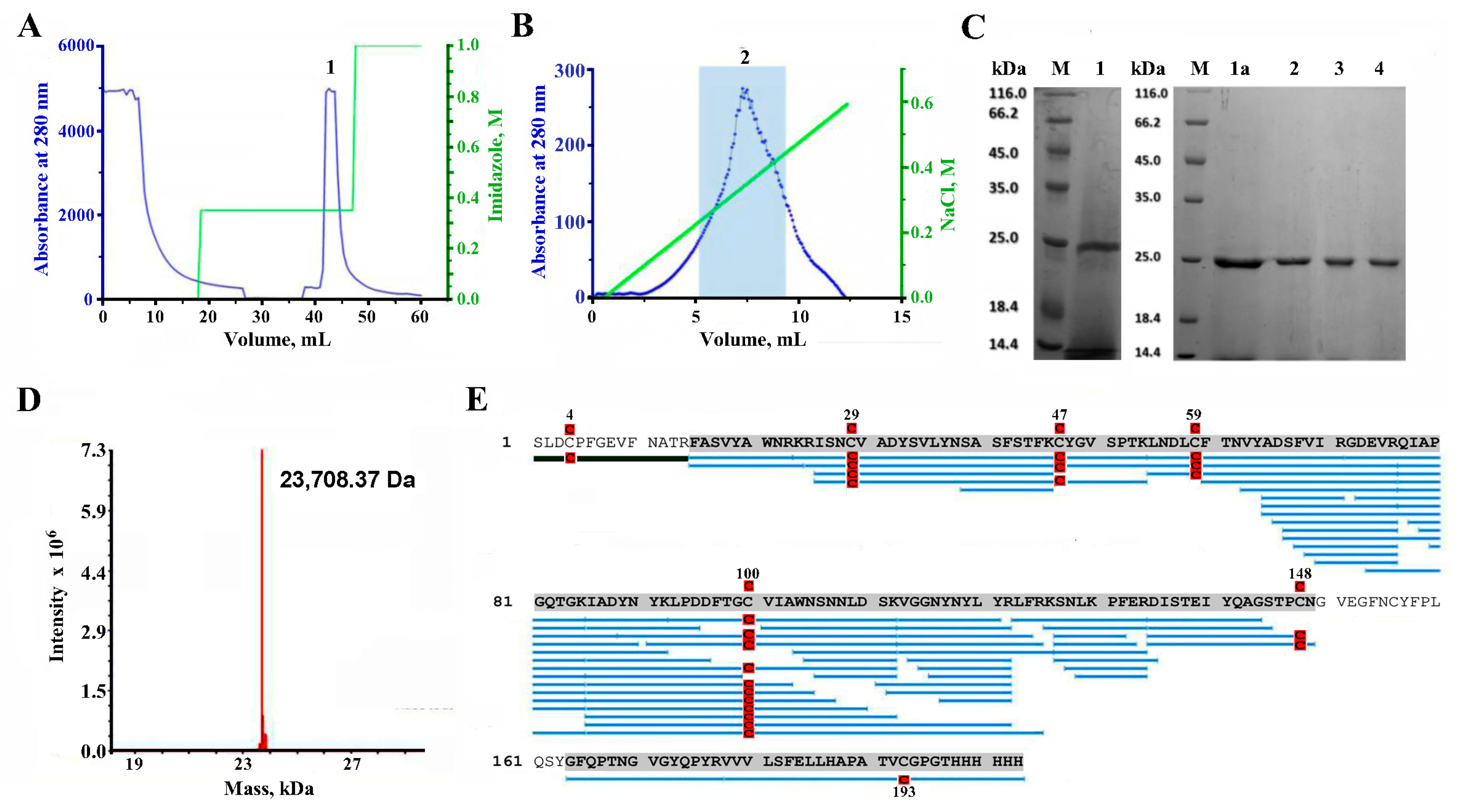 Molecules 29 00943 g003