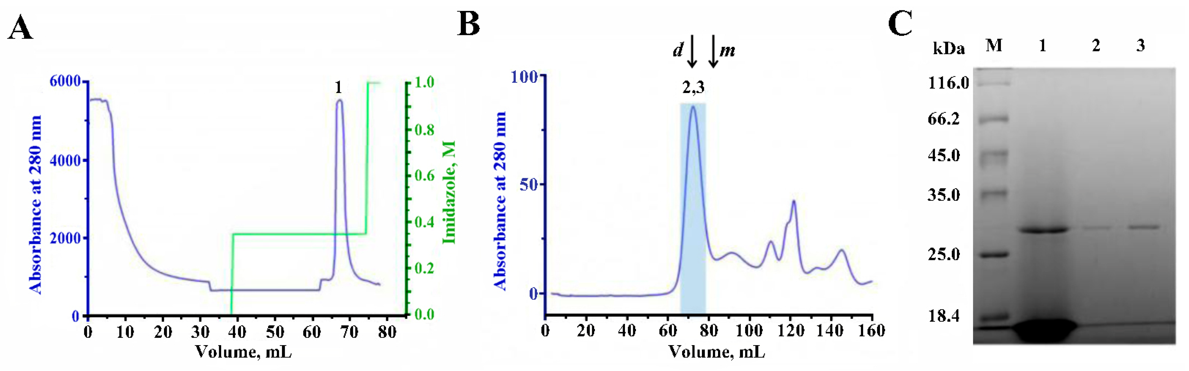 Molecules 29 00943 g005