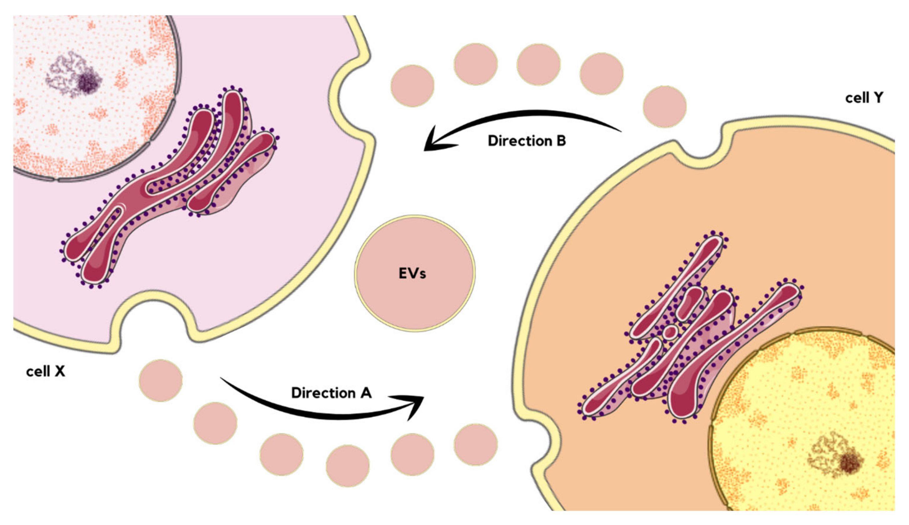 Molecules 29 00948 g005