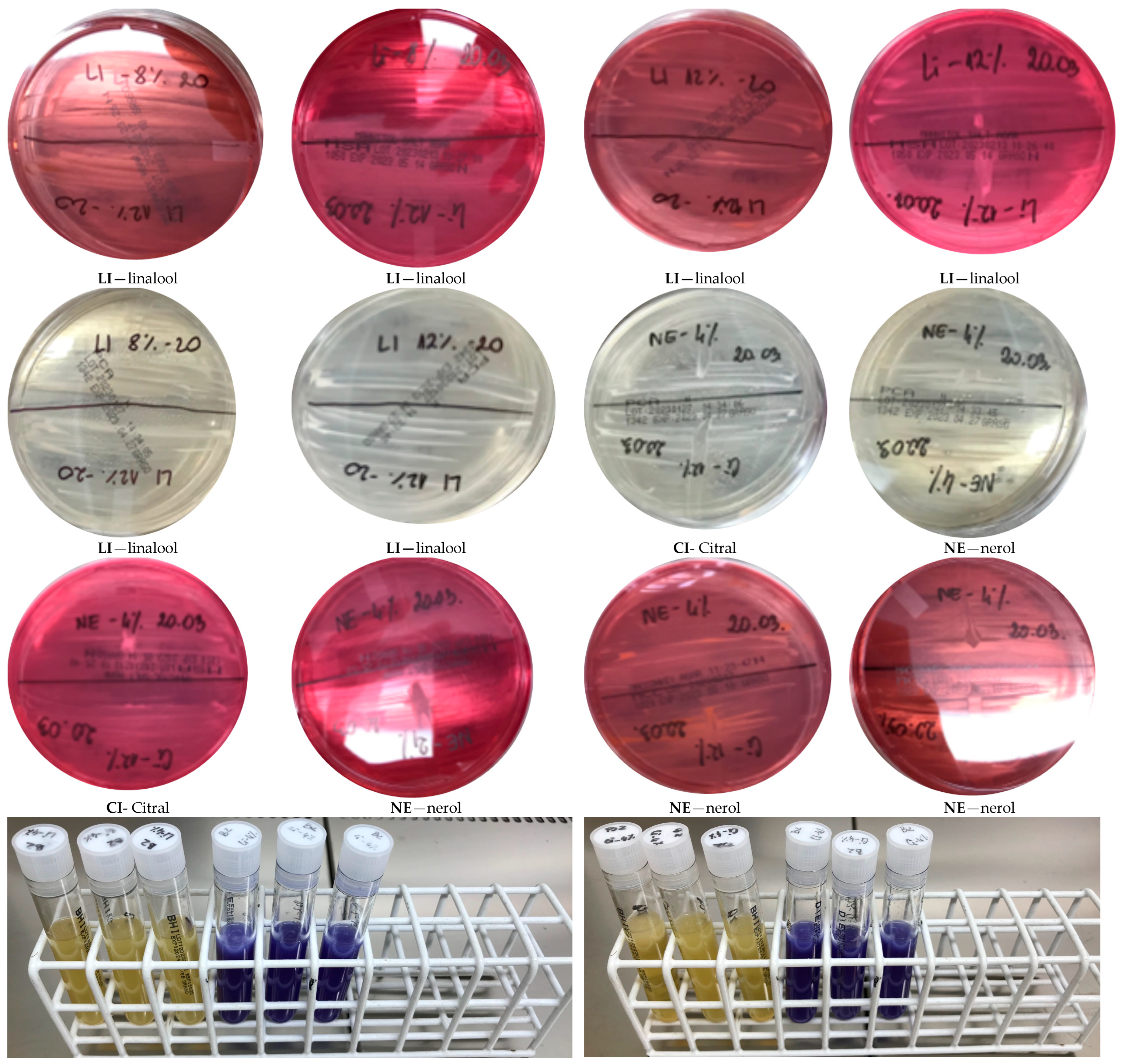Molecules 29 00950 g011