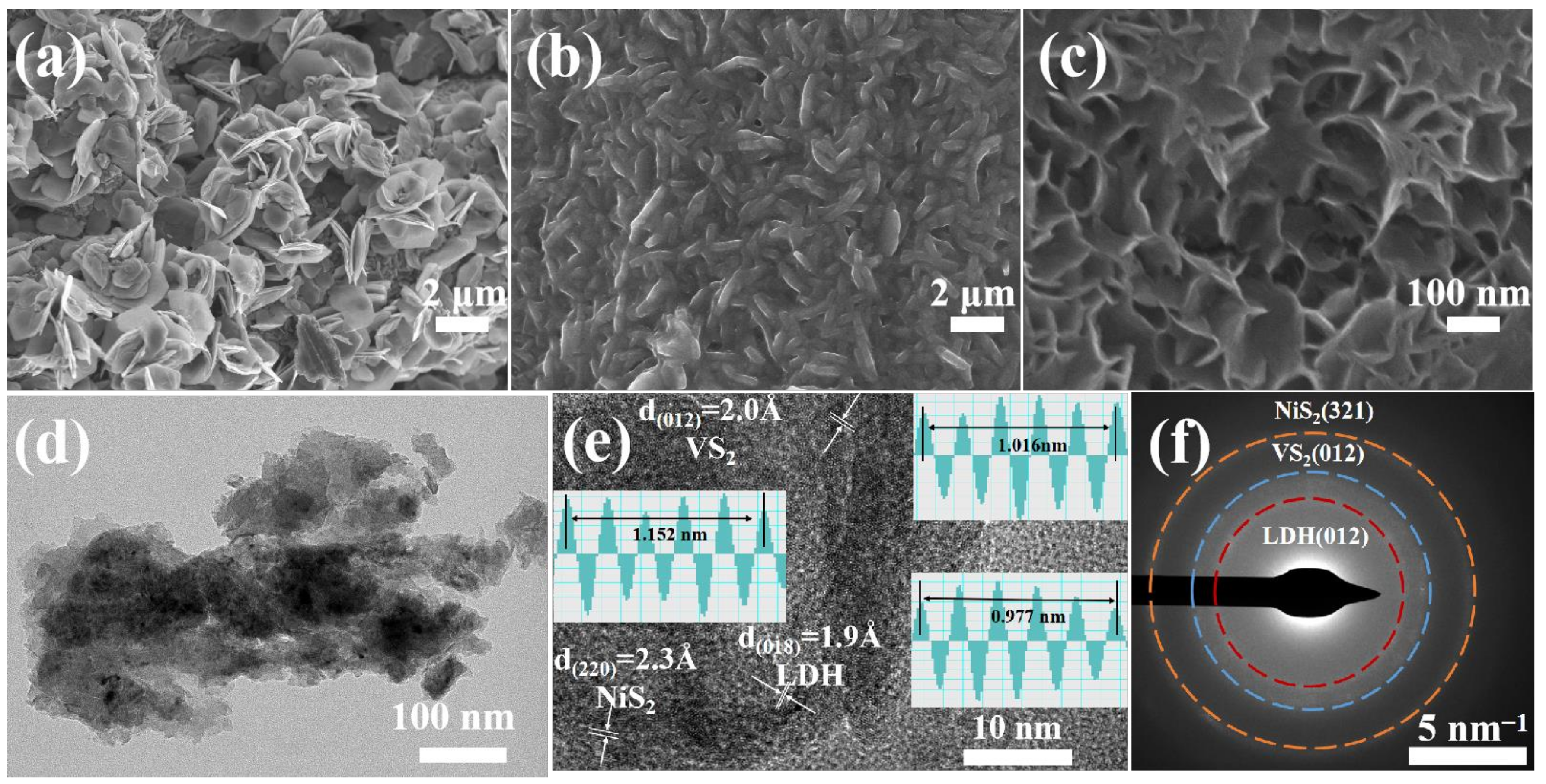 Molecules 29 00951 g001