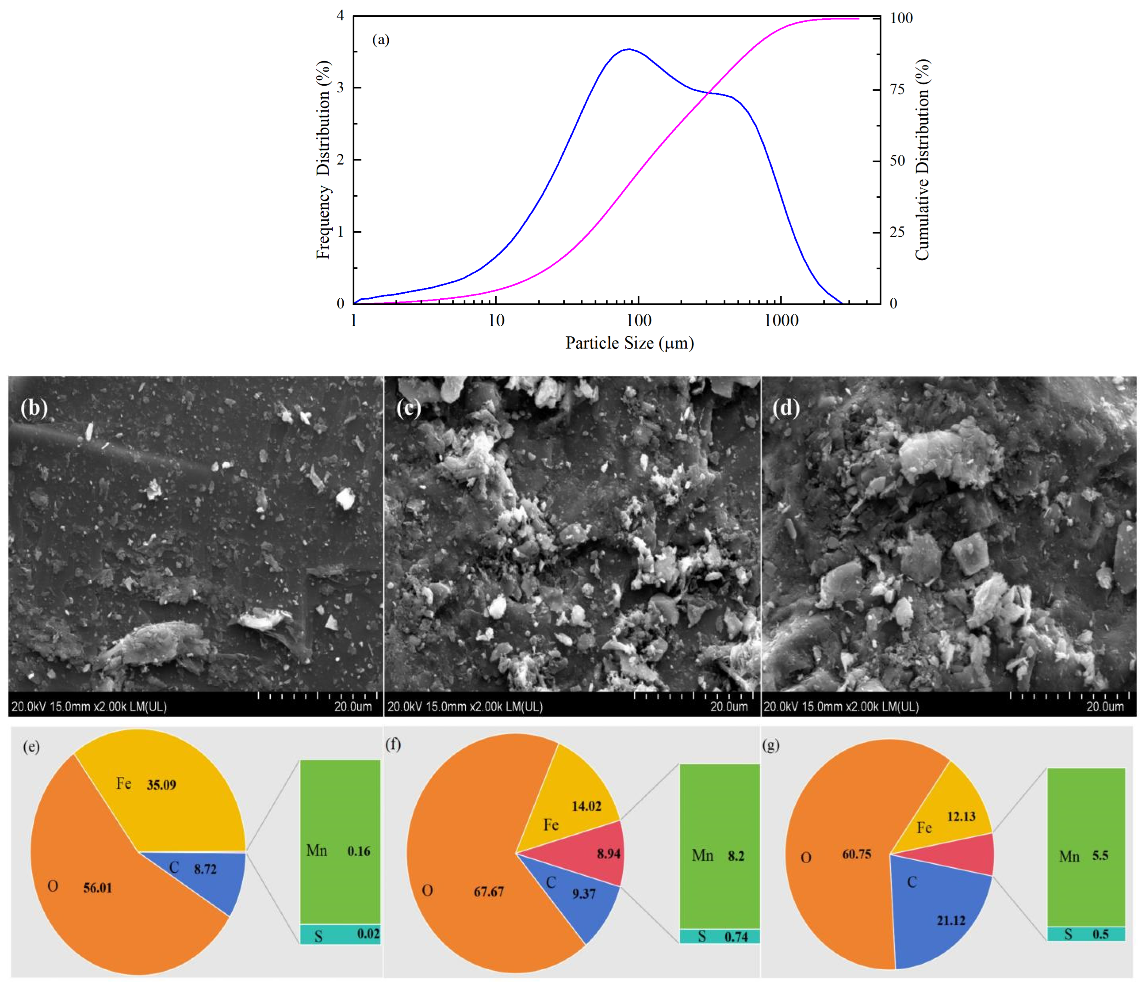 Molecules 29 00952 g001