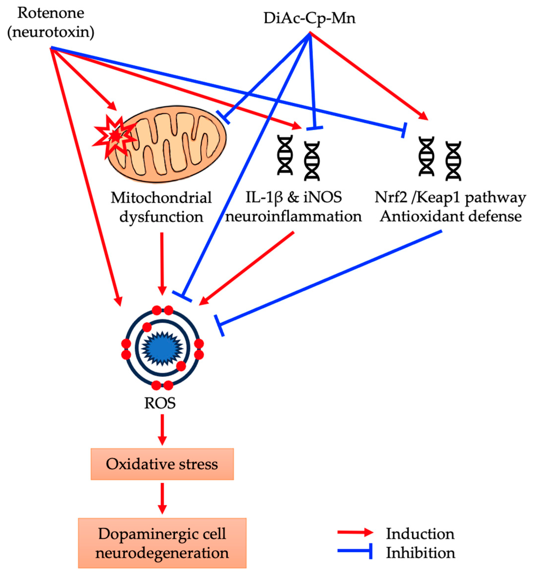 Molecules 29 00957 g009