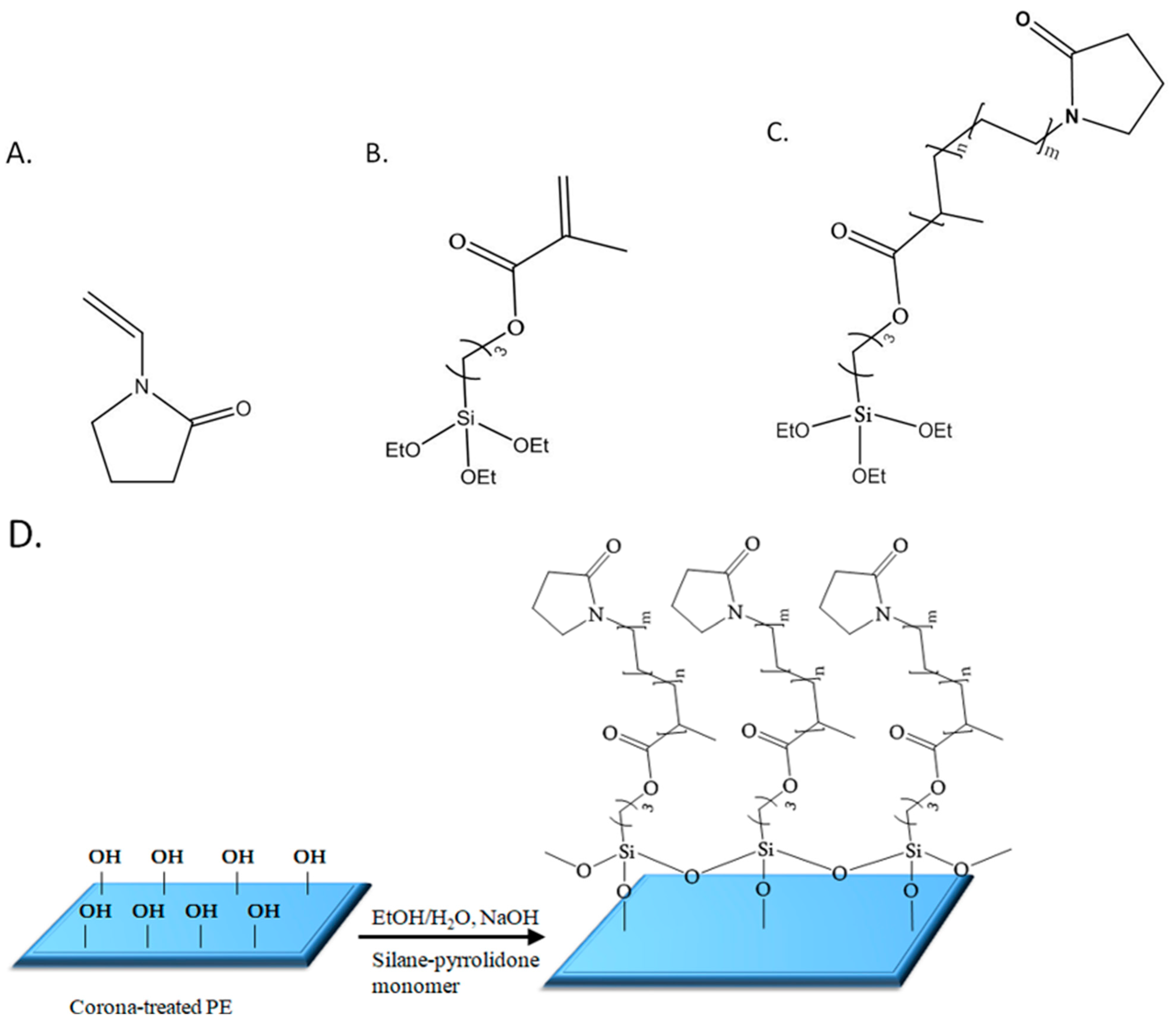 Molecules 29 00958 g001