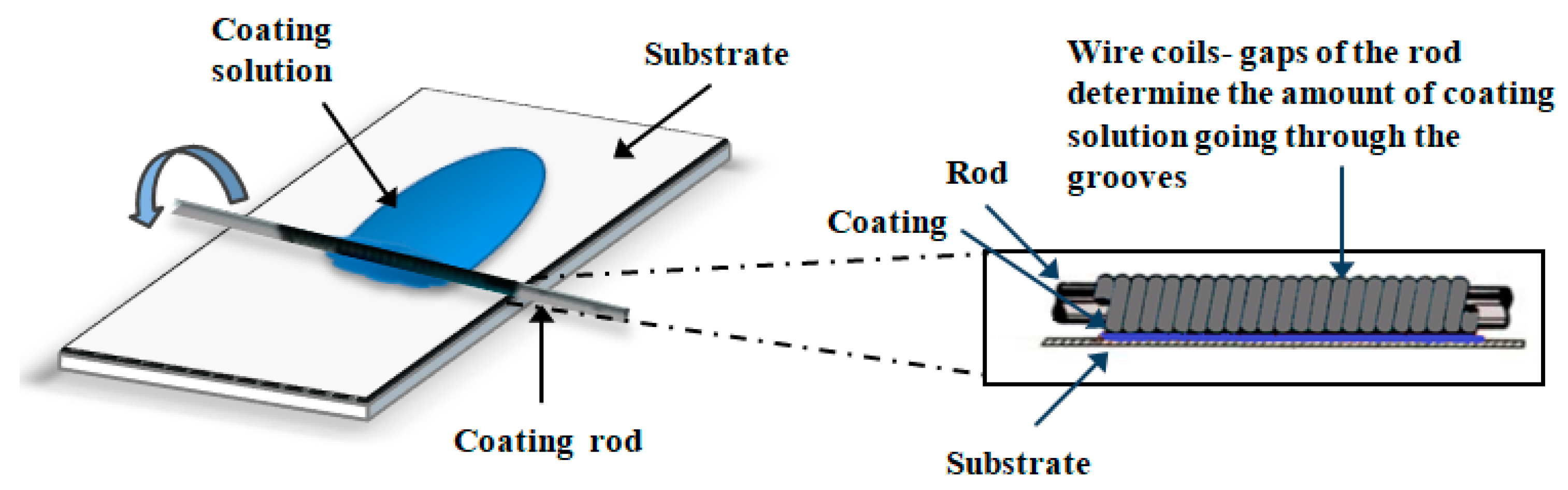 Molecules 29 00958 g002