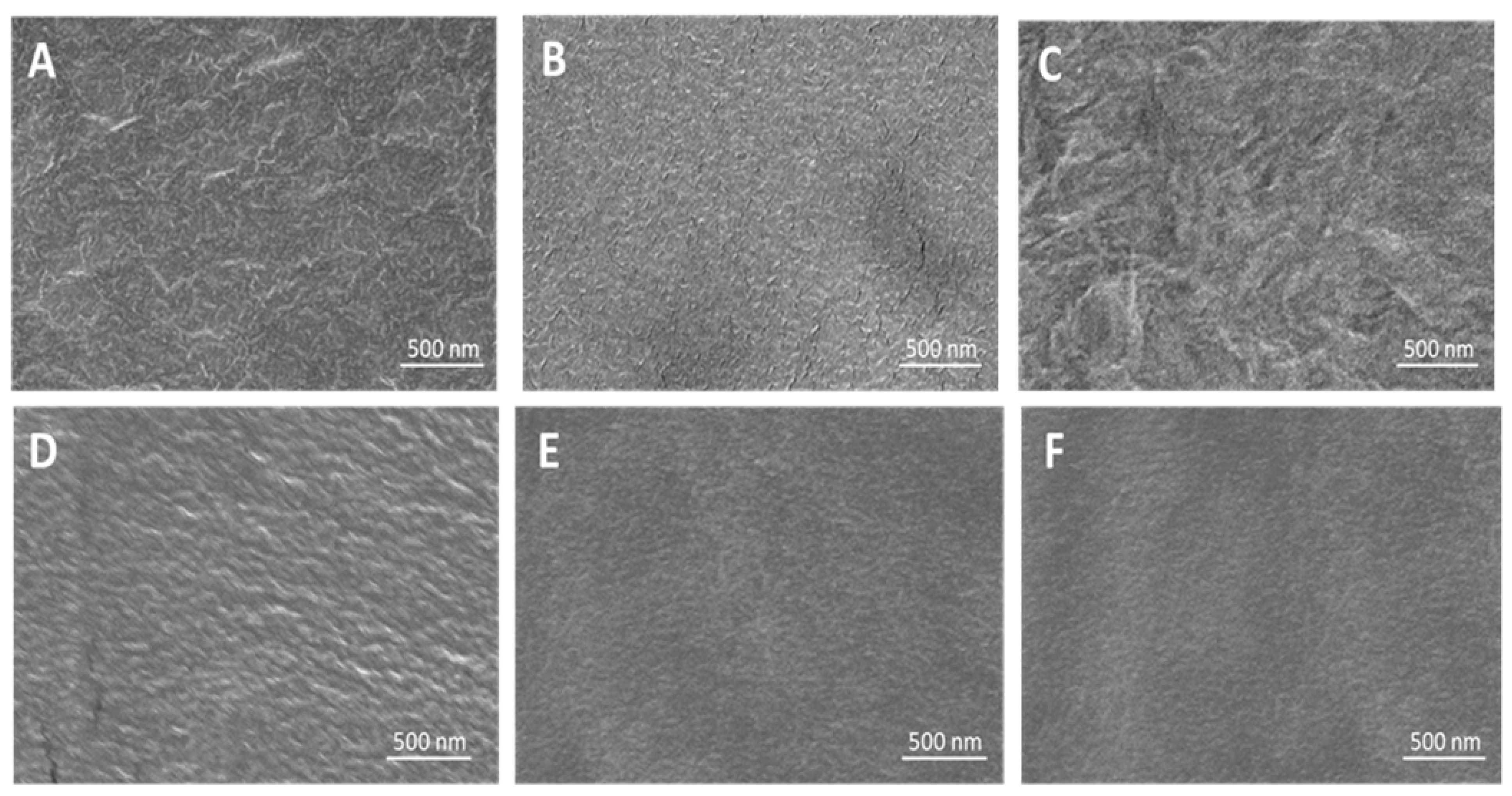 Molecules 29 00958 g005