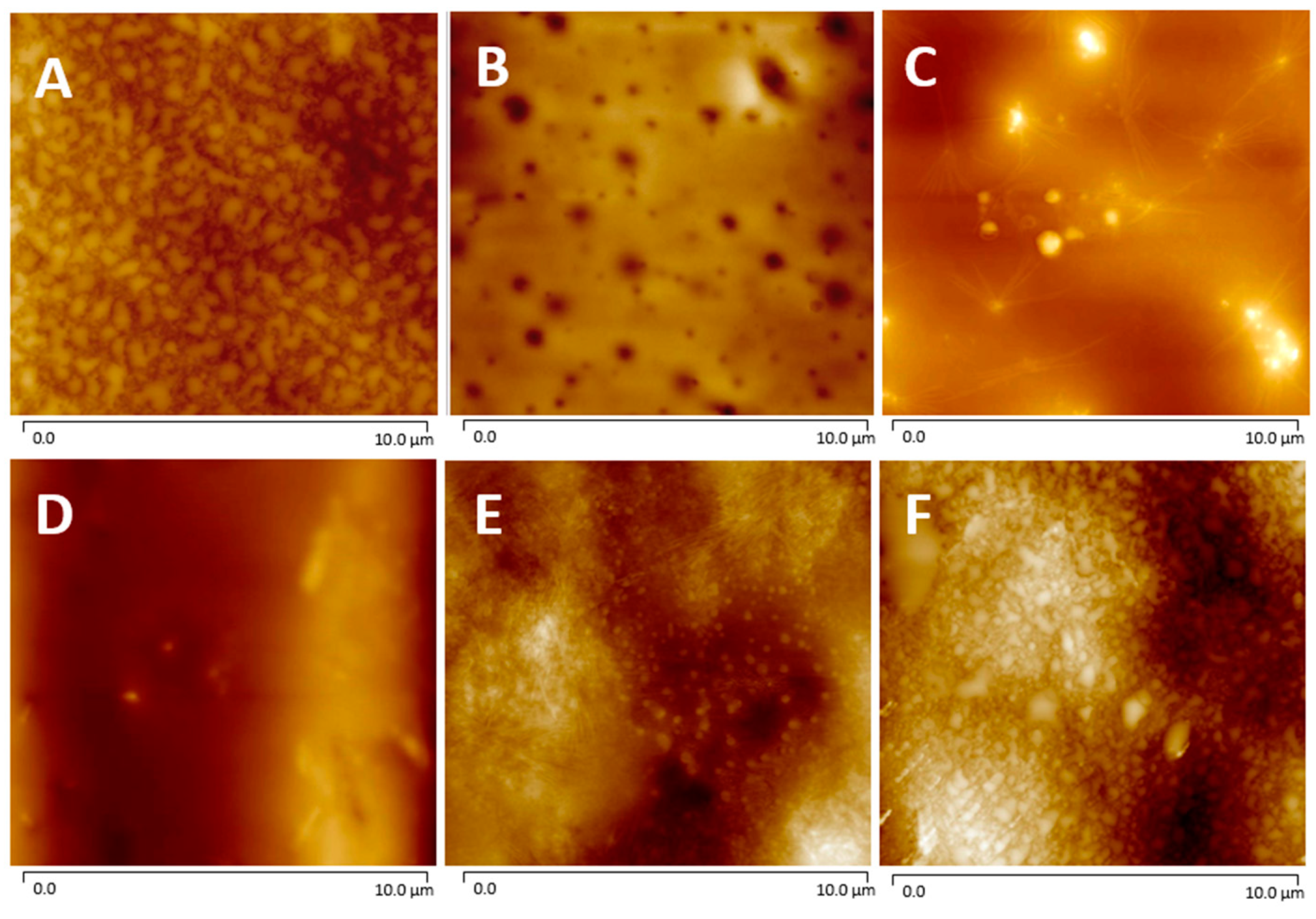 Molecules 29 00958 g006